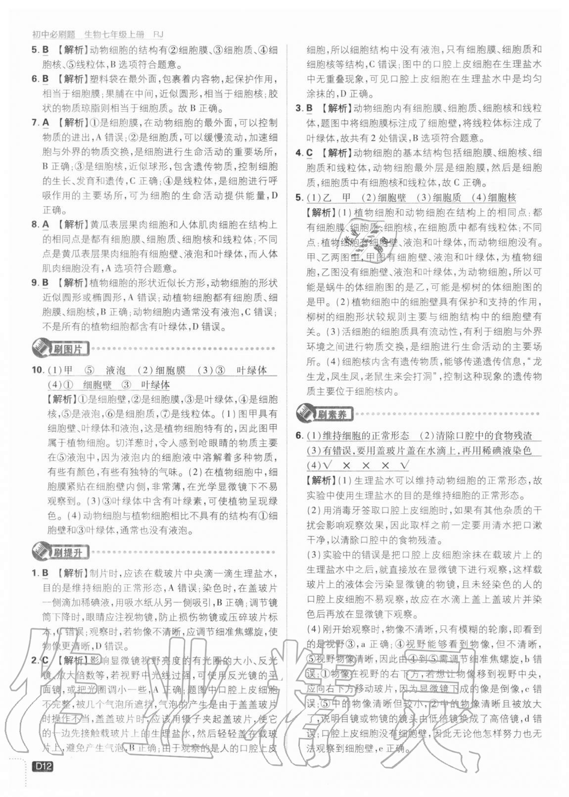 2020年初中必刷题七年级生物上册人教版 参考答案第12页