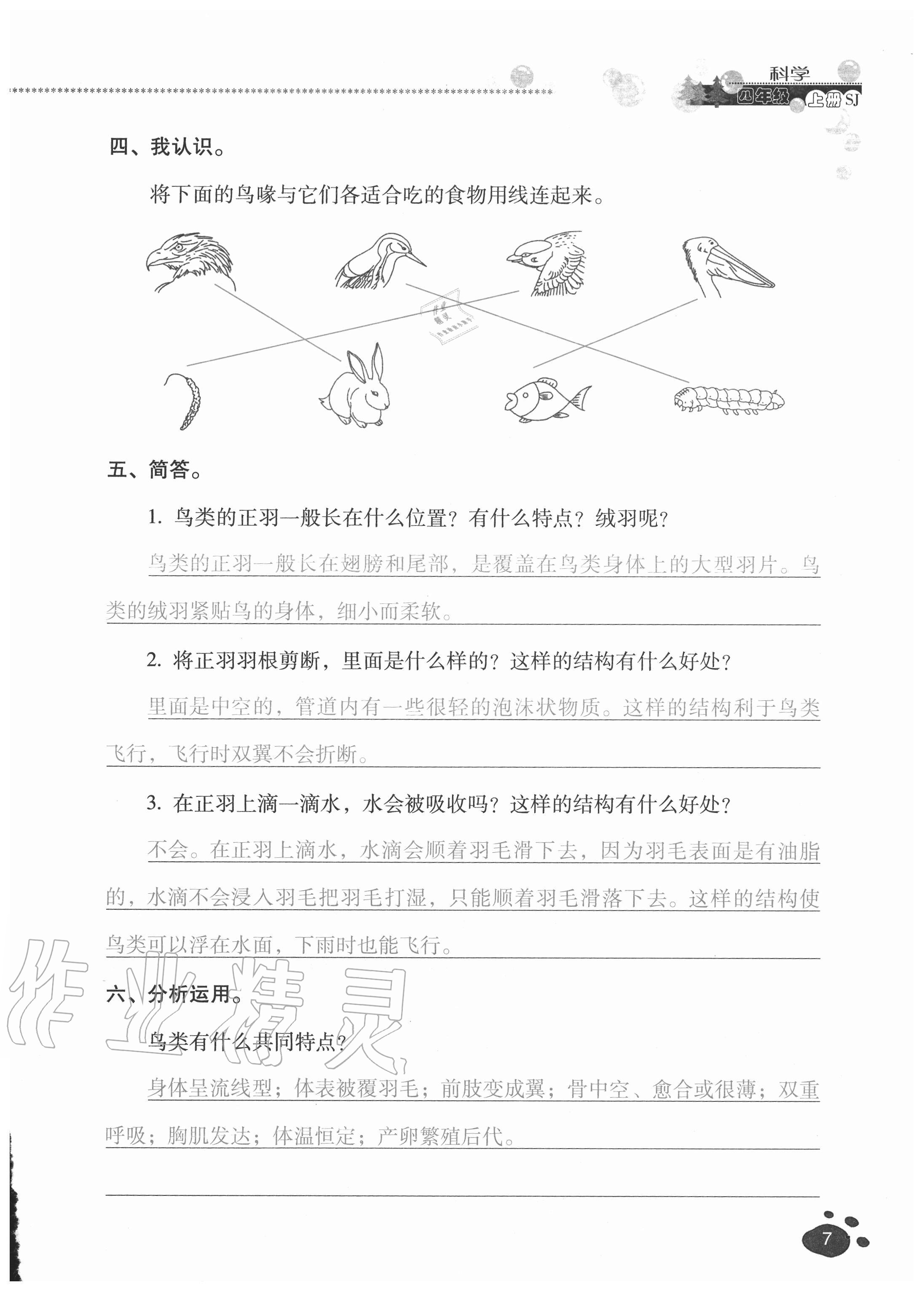 2020年云南省標準教輔同步指導訓練與檢測四年級科學上冊蘇教版 參考答案第6頁