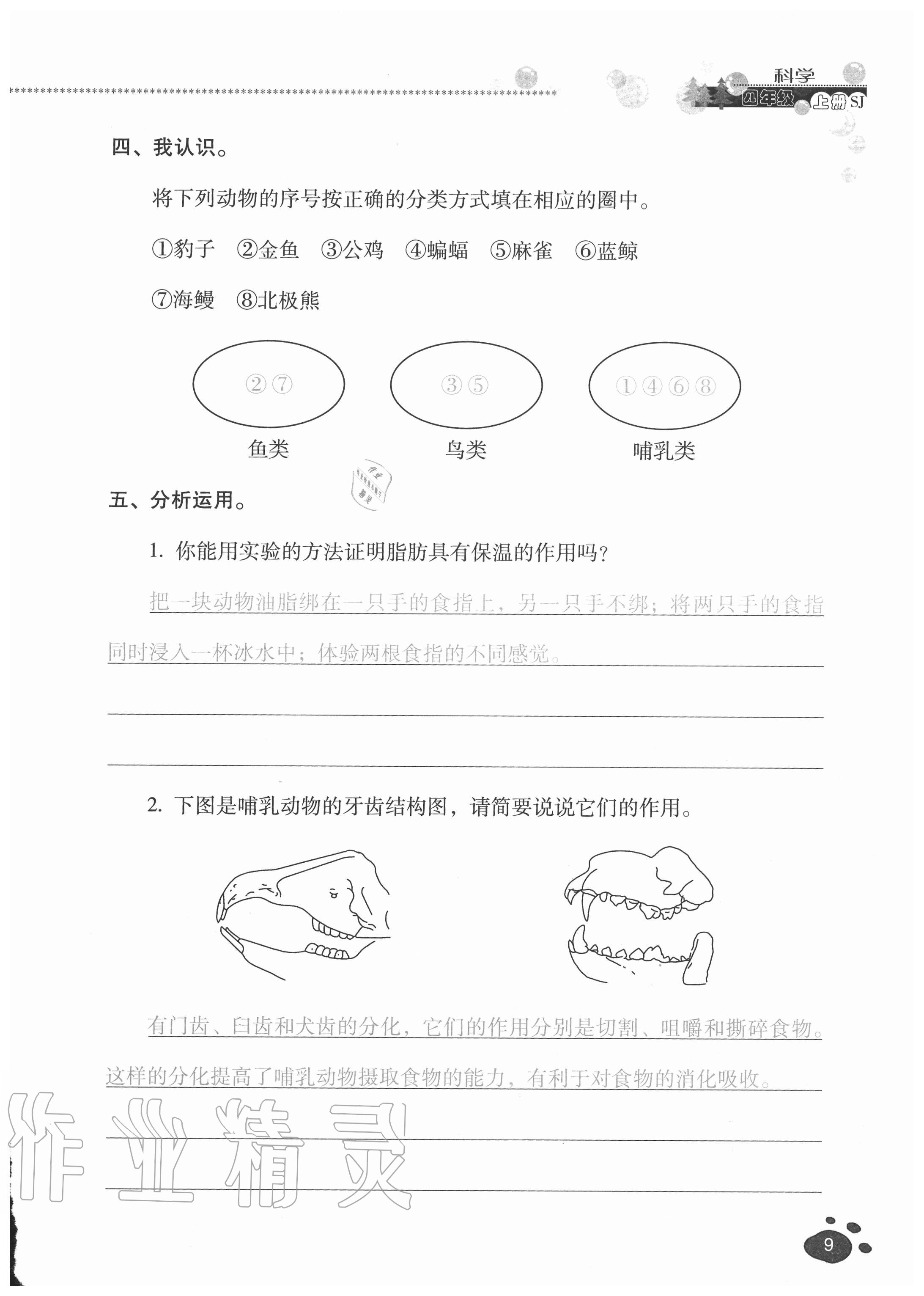 2020年云南省標(biāo)準(zhǔn)教輔同步指導(dǎo)訓(xùn)練與檢測(cè)四年級(jí)科學(xué)上冊(cè)蘇教版 參考答案第8頁