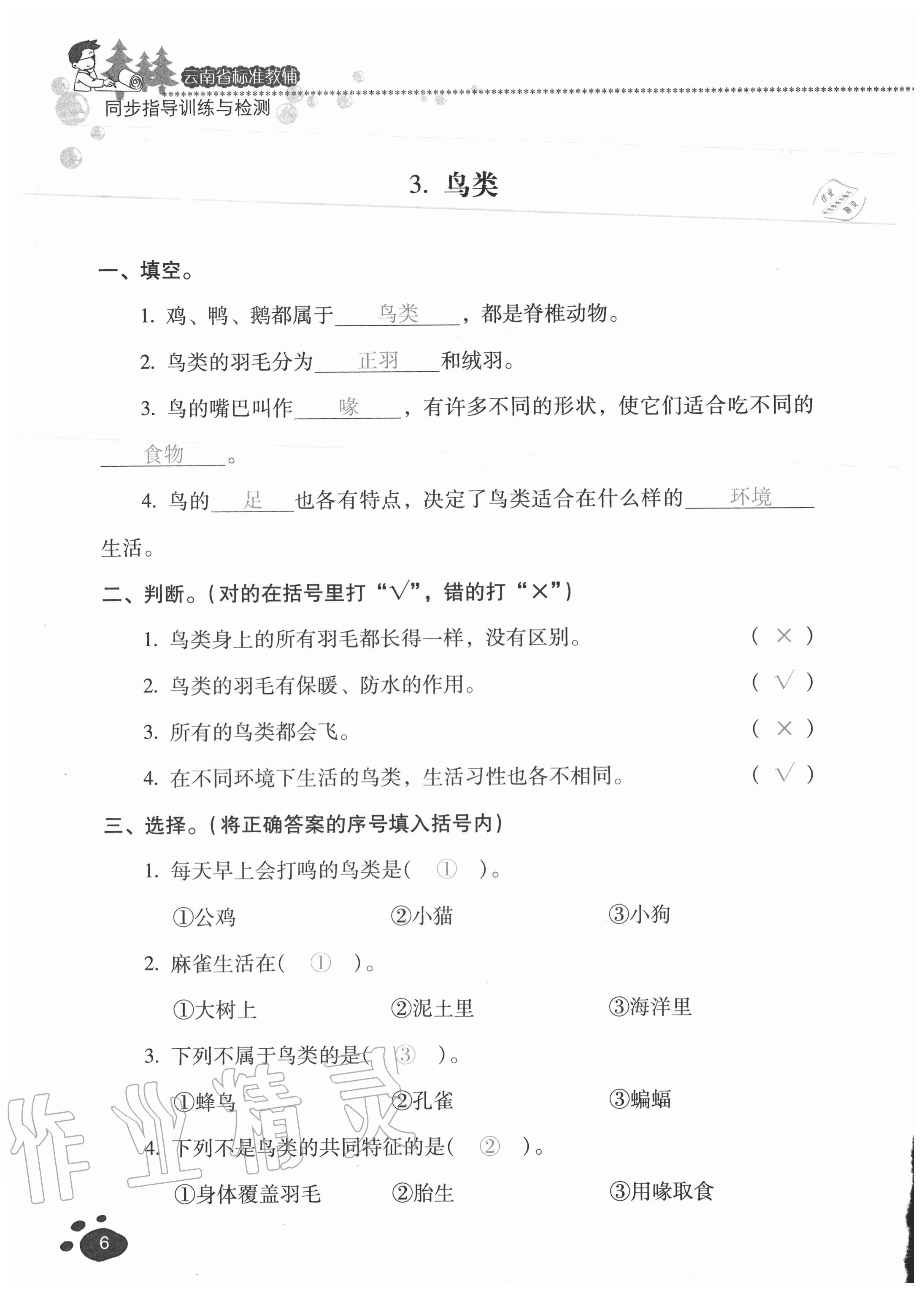 2020年云南省標準教輔同步指導訓練與檢測四年級科學上冊蘇教版 參考答案第5頁