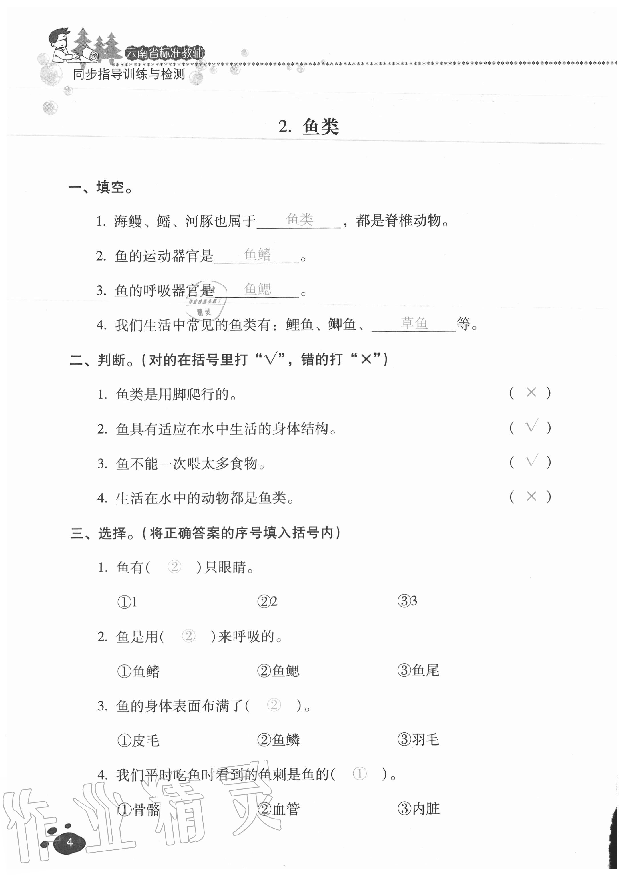 2020年云南省標(biāo)準(zhǔn)教輔同步指導(dǎo)訓(xùn)練與檢測四年級科學(xué)上冊蘇教版 參考答案第3頁