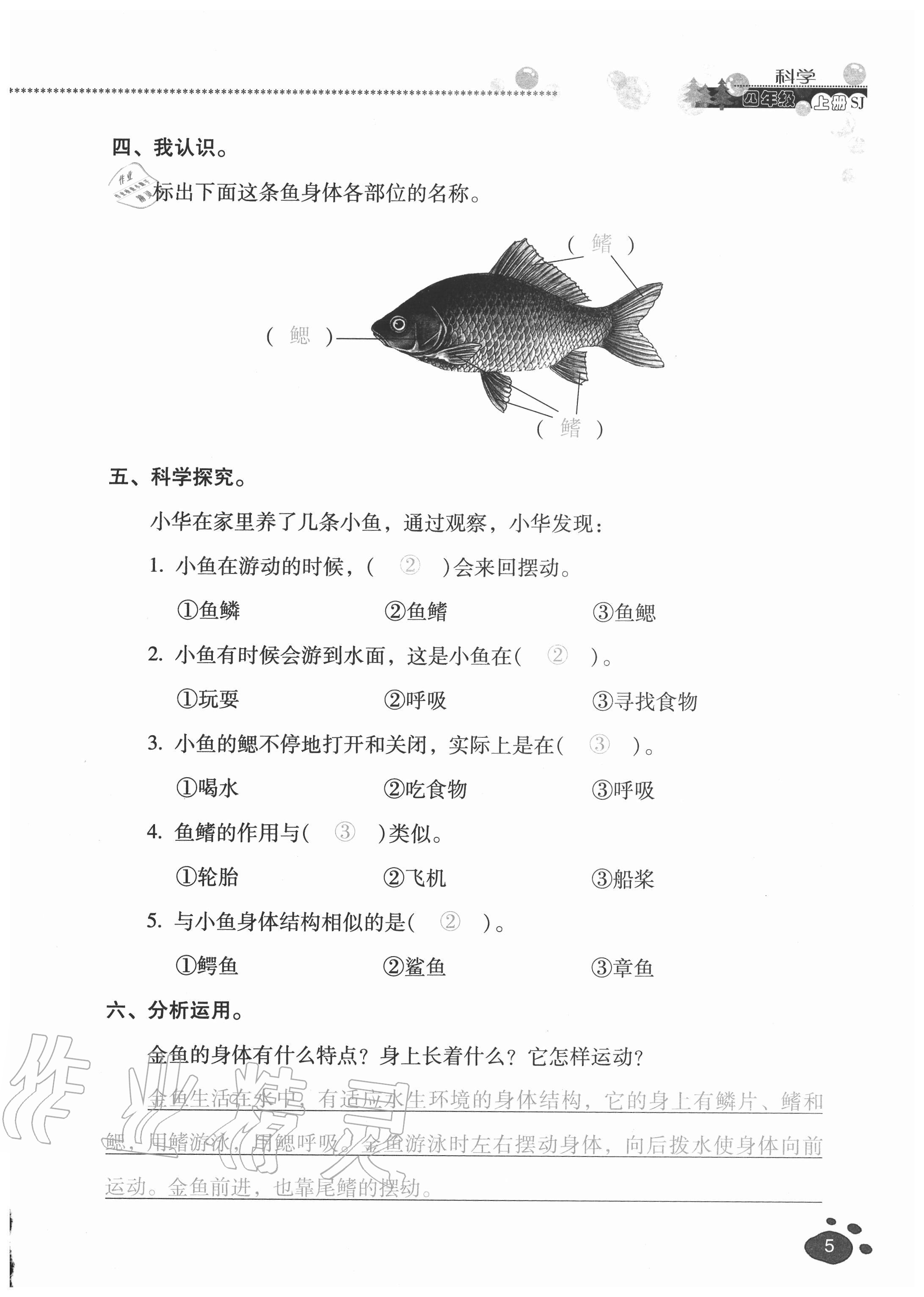 2020年云南省標(biāo)準(zhǔn)教輔同步指導(dǎo)訓(xùn)練與檢測四年級科學(xué)上冊蘇教版 參考答案第4頁