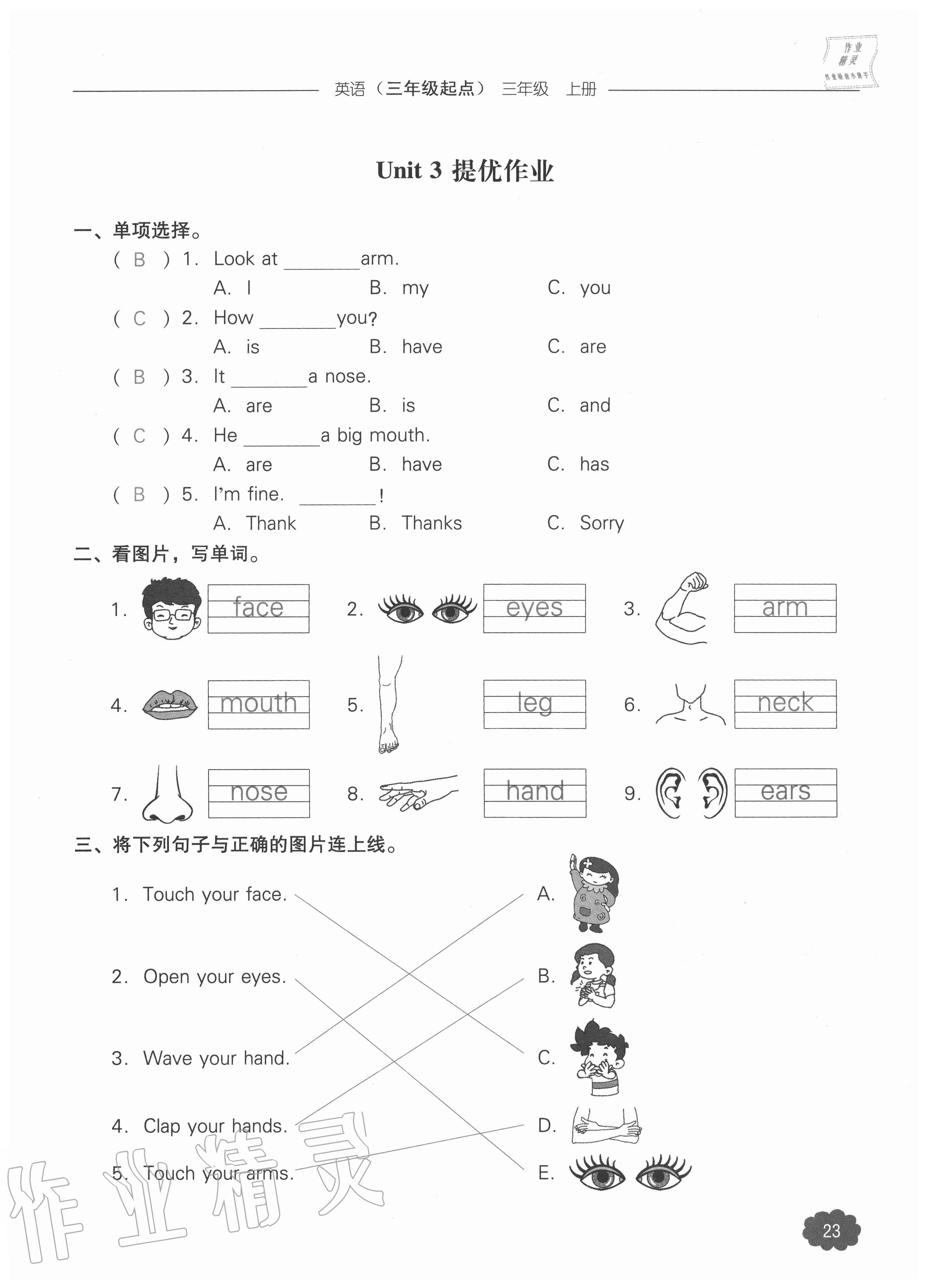 2020年課時(shí)作業(yè)本加提優(yōu)試卷三年級(jí)英語(yǔ)上冊(cè)人教版三年級(jí)起點(diǎn) 參考答案第23頁(yè)