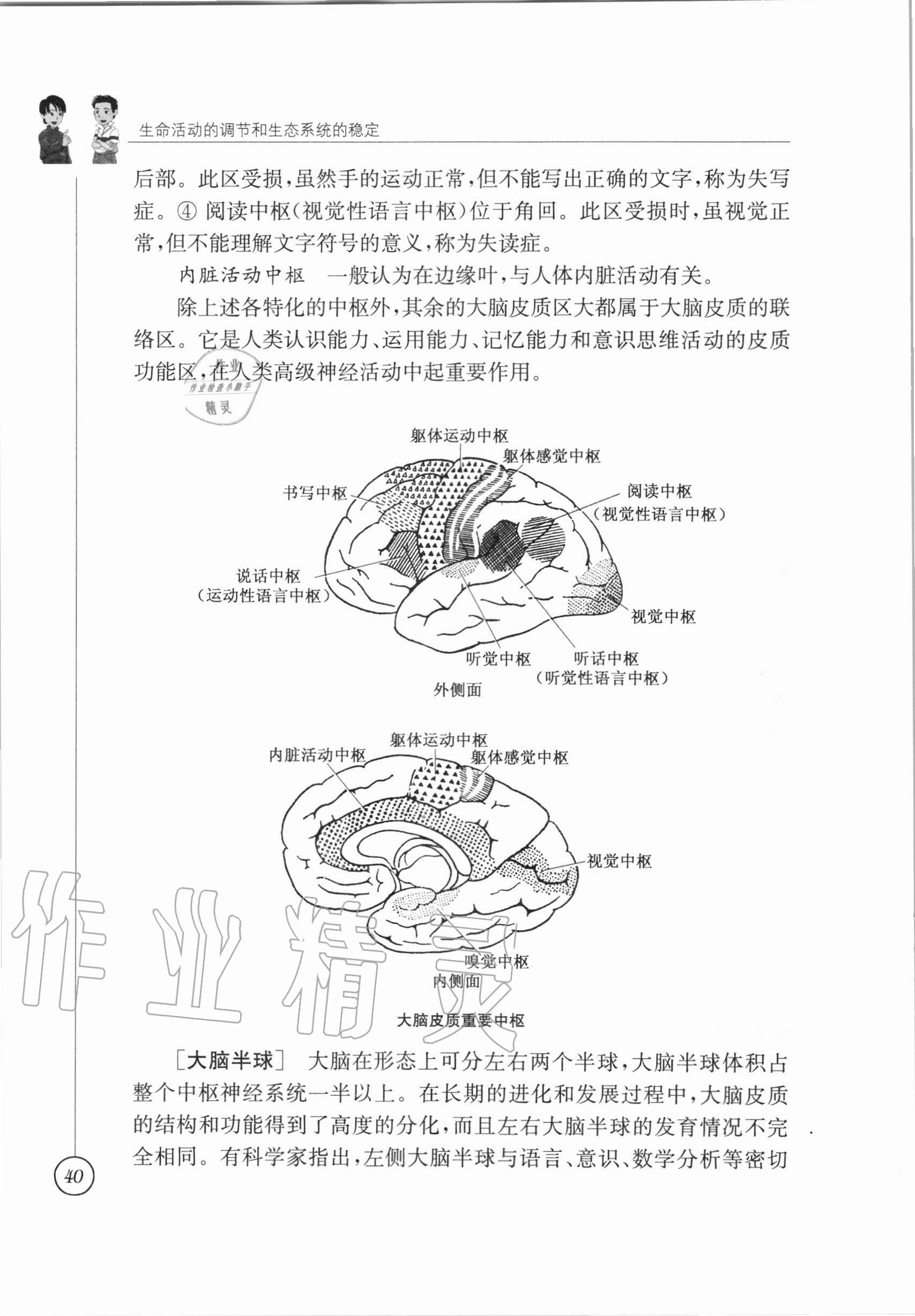 2020年教材課本八年級(jí)生物學(xué)上冊(cè)蘇科版 參考答案第40頁(yè)