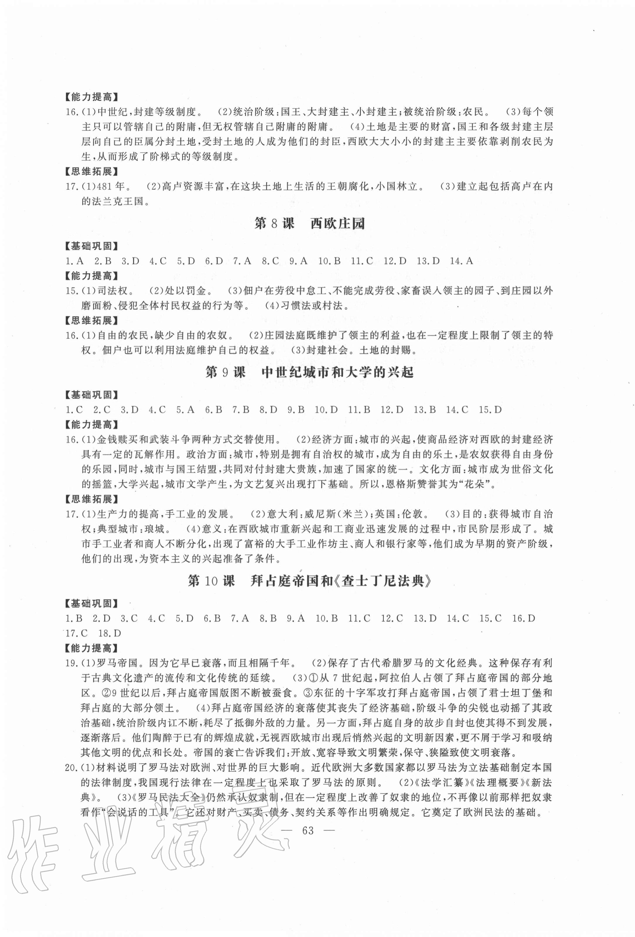 2020年名师讲坛1课1练九年级历史全一册通用版 第3页