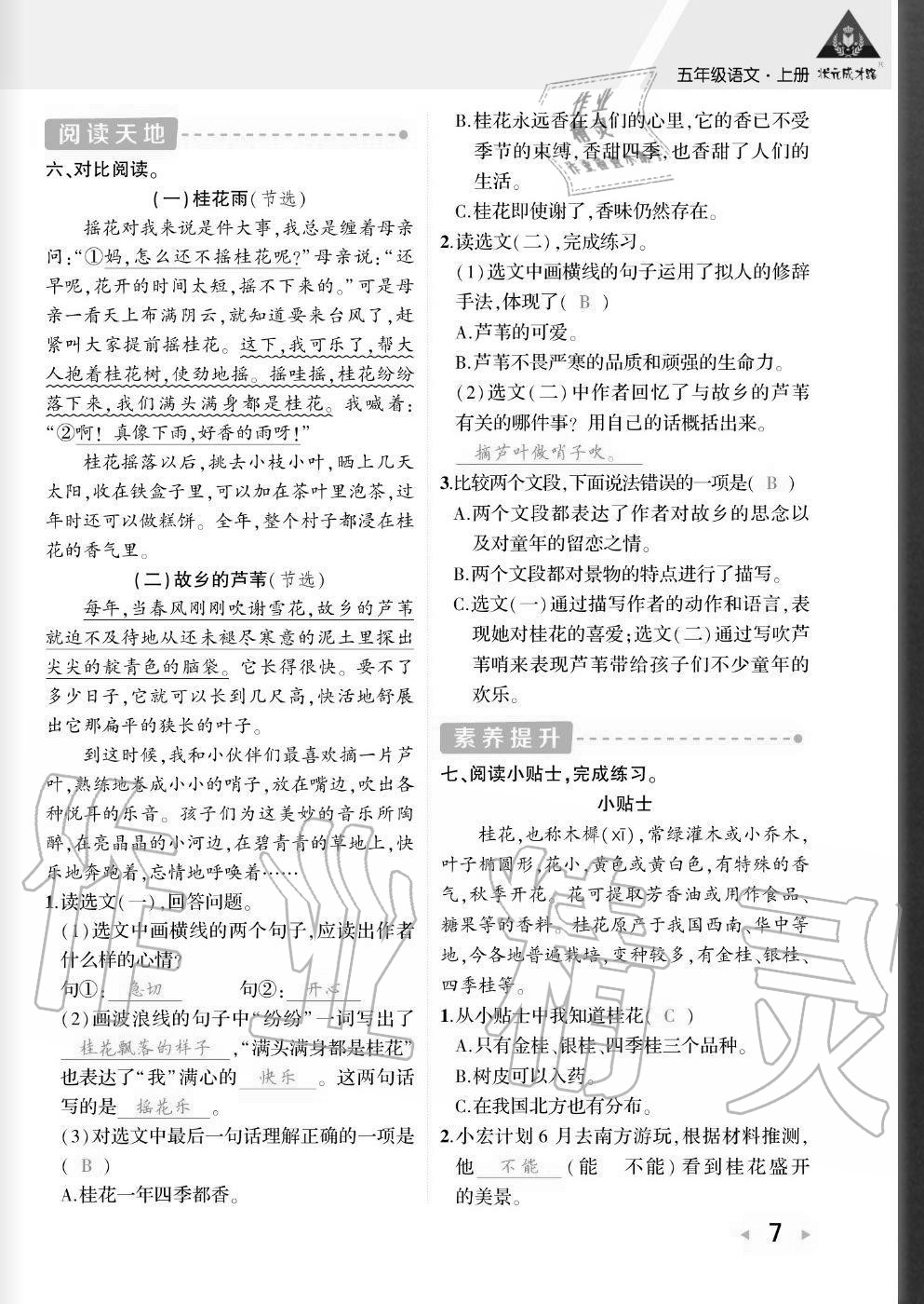 2020年狀元成才路創優作業五年級語文上冊人教版貴州專版 參考答案第6頁