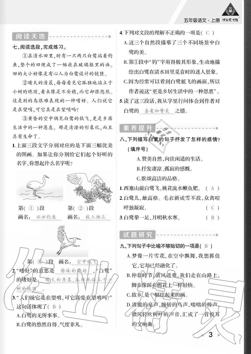 2020年狀元成才路創優作業五年級語文上冊人教版貴州專版 參考答案第2頁