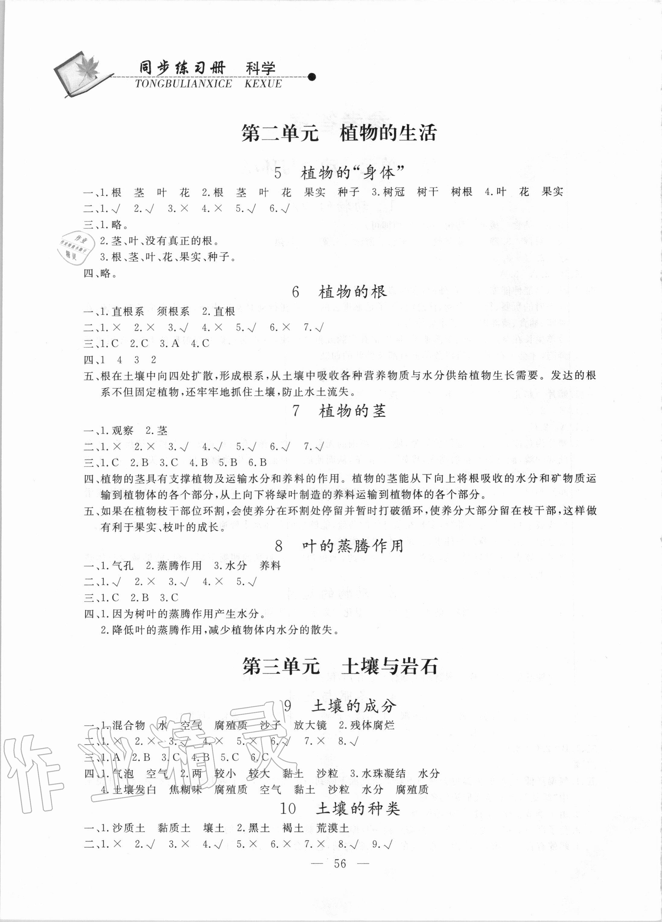 2020年同步練習冊三年級科學上冊青島版山東科學技術出版社 參考答案第2頁