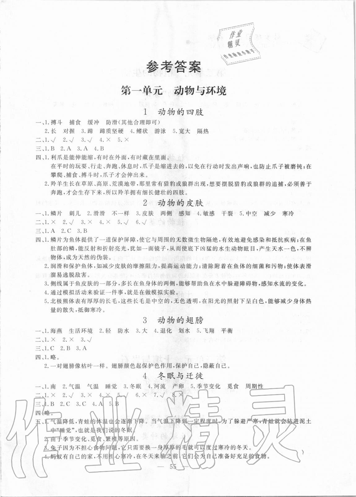 2020年同步練習冊三年級科學上冊青島版山東科學技術出版社 參考答案第1頁