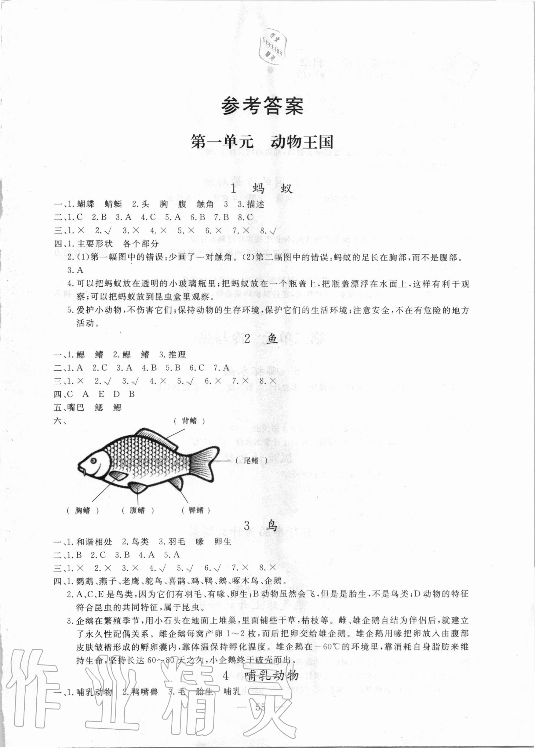 2020年同步練習(xí)冊(cè)四年級(jí)科學(xué)上冊(cè)青島版山東科學(xué)技術(shù)出版社 第1頁(yè)