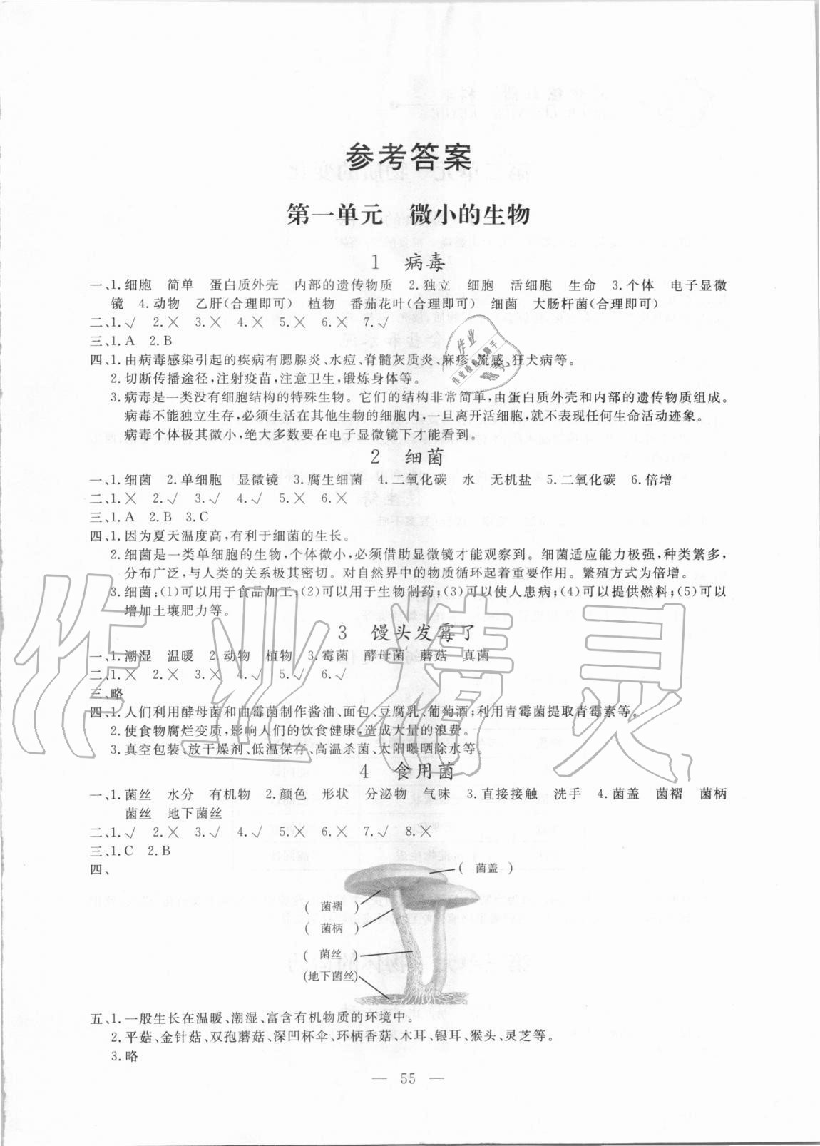 2020年同步練習(xí)冊(cè)六年級(jí)科學(xué)上冊(cè)青島版山東科學(xué)技術(shù)出版社 參考答案第1頁