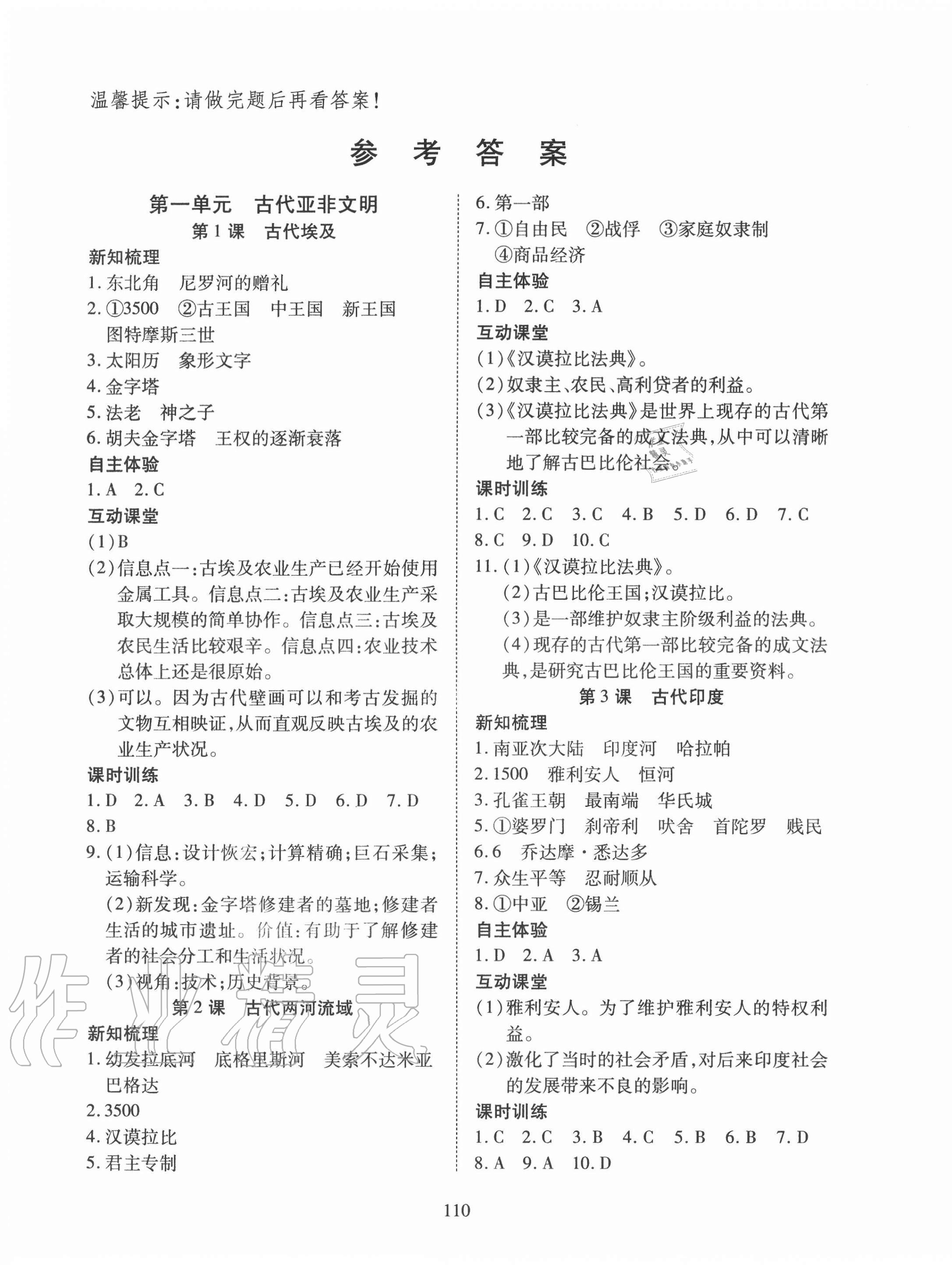 2020年有效課堂九年級(jí)歷史上冊(cè)人教版 參考答案第1頁