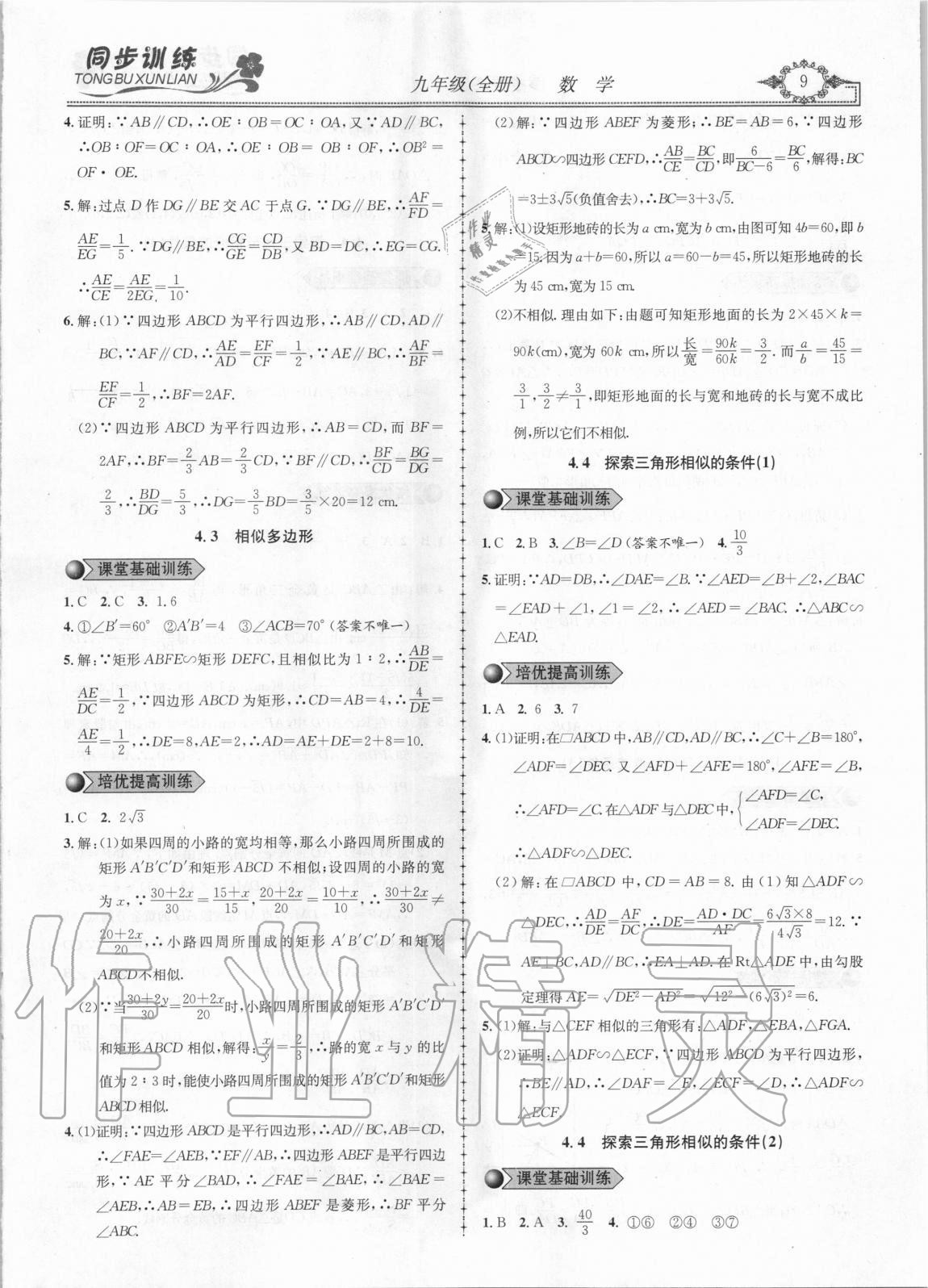2020年同步訓(xùn)練創(chuàng)新作業(yè)九年級數(shù)學(xué)全冊北師大版 第9頁