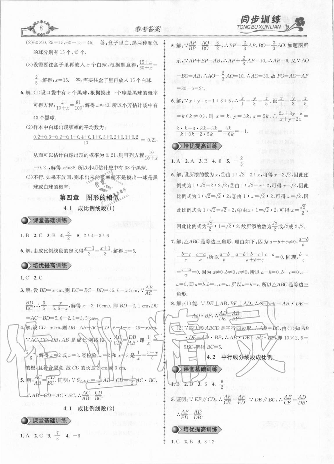 2020年同步訓練創(chuàng)新作業(yè)九年級數學全冊北師大版 第8頁