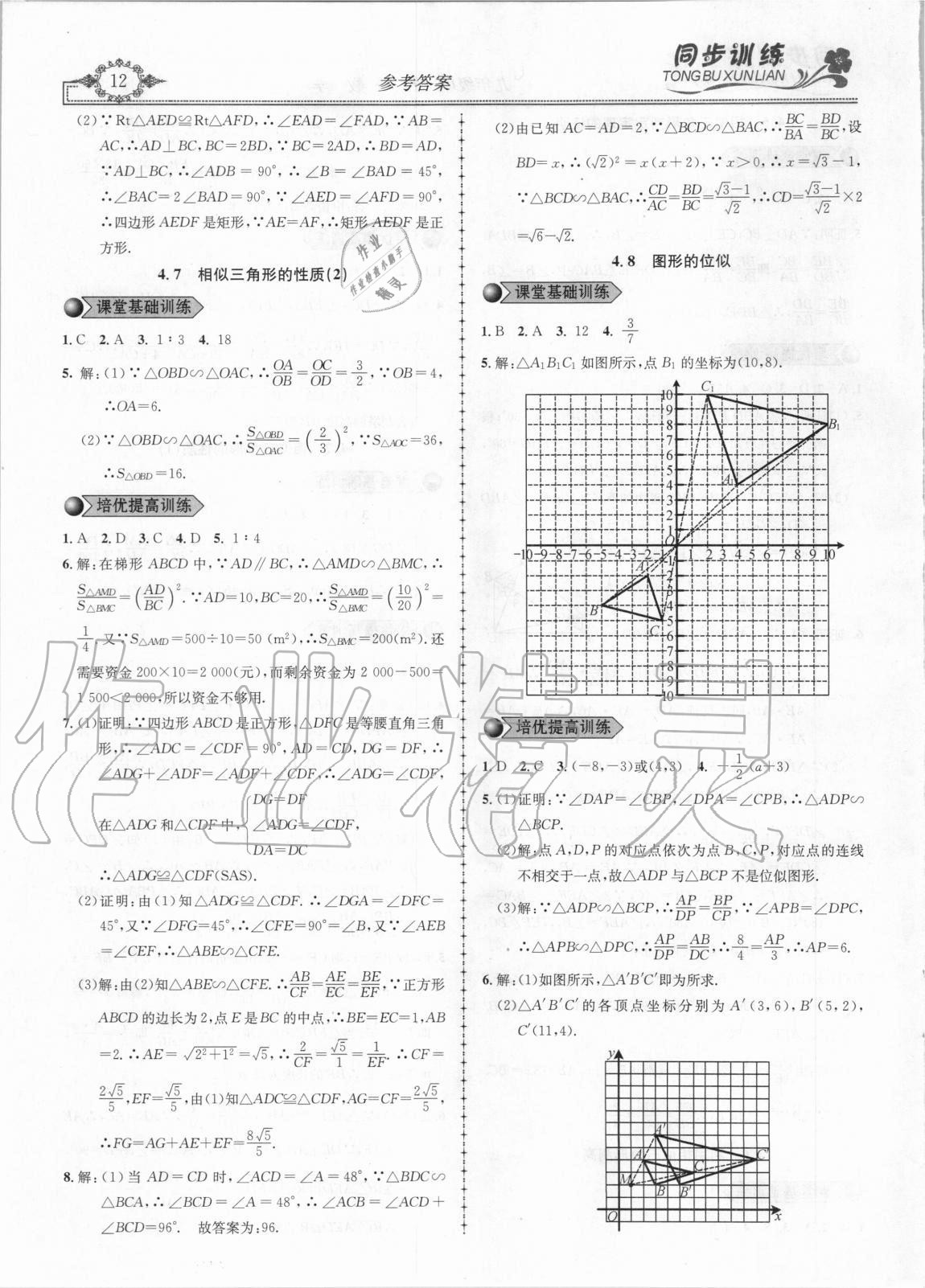 2020年同步訓(xùn)練創(chuàng)新作業(yè)九年級(jí)數(shù)學(xué)全冊(cè)北師大版 第12頁(yè)
