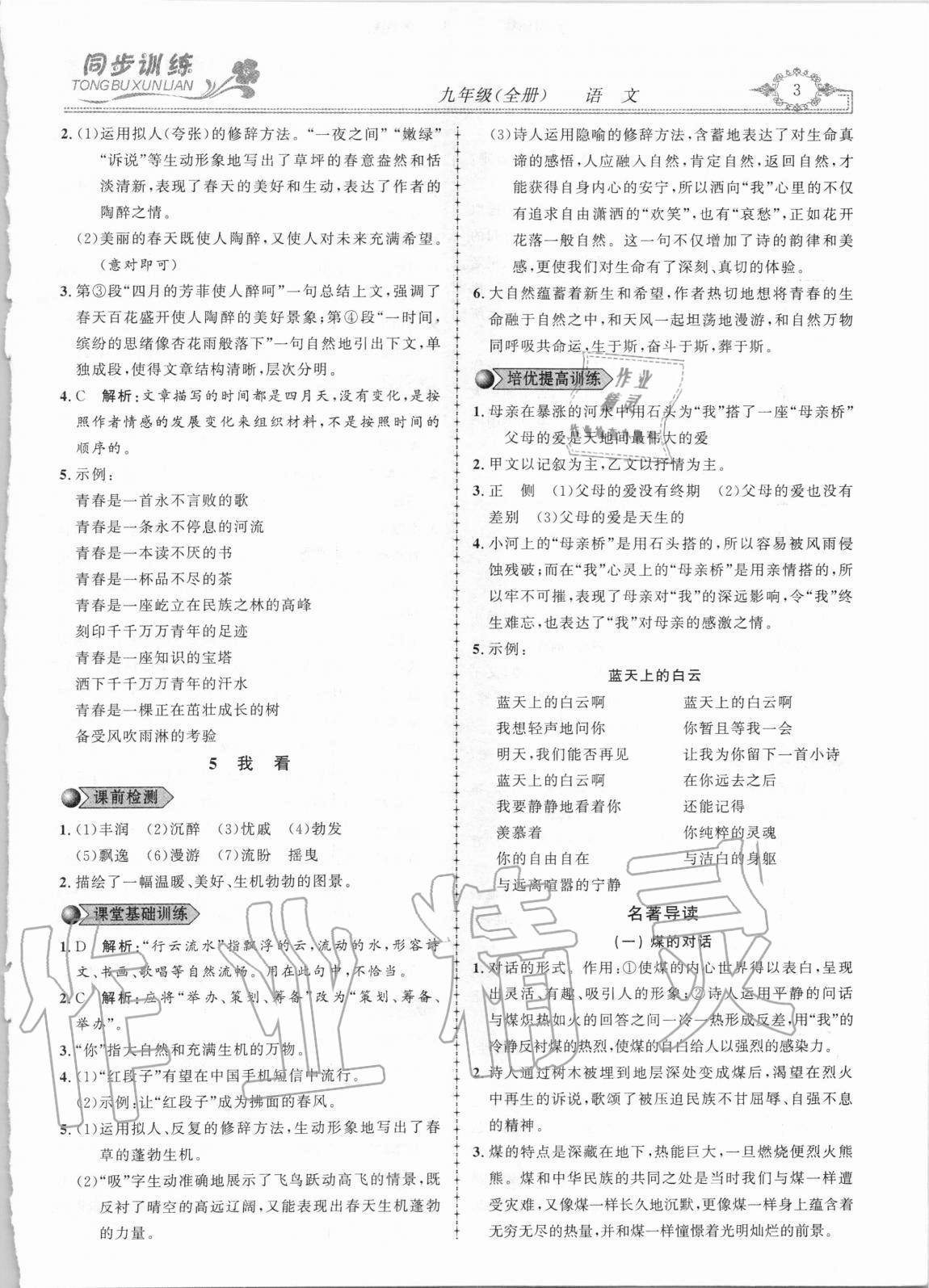 2020年同步訓(xùn)練創(chuàng)新作業(yè)九年級語文全冊人教版 第3頁