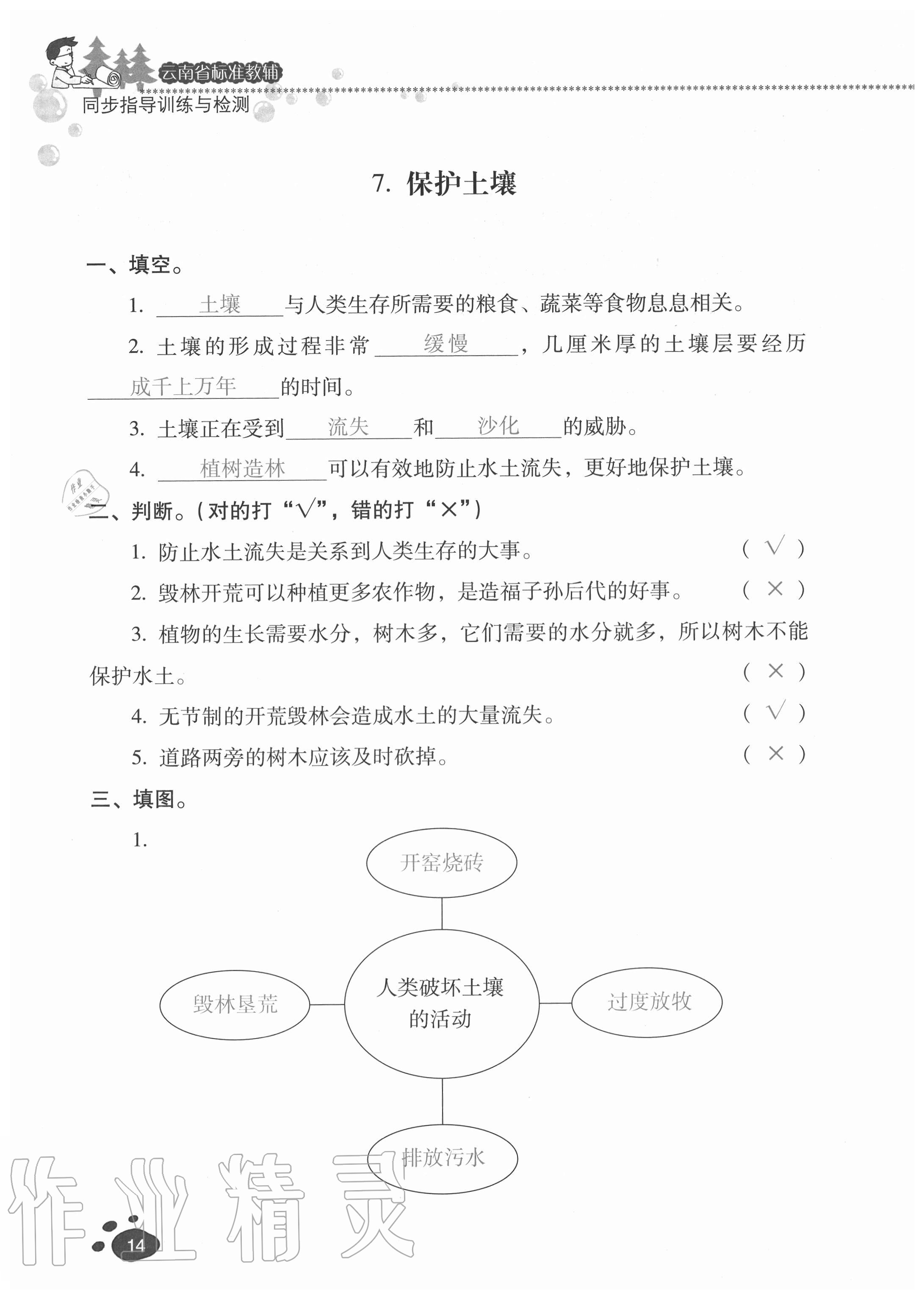 2020年云南省標(biāo)準(zhǔn)教輔同步指導(dǎo)訓(xùn)練與檢測(cè)三年級(jí)科學(xué)上冊(cè)蘇教版 參考答案第12頁(yè)