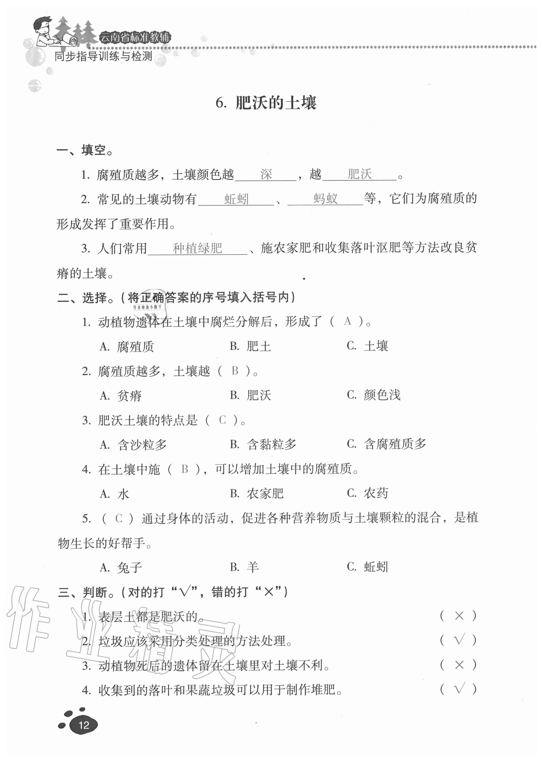 2020年云南省标准教辅同步指导训练与检测三年级科学上册苏教版 参考答案第11页