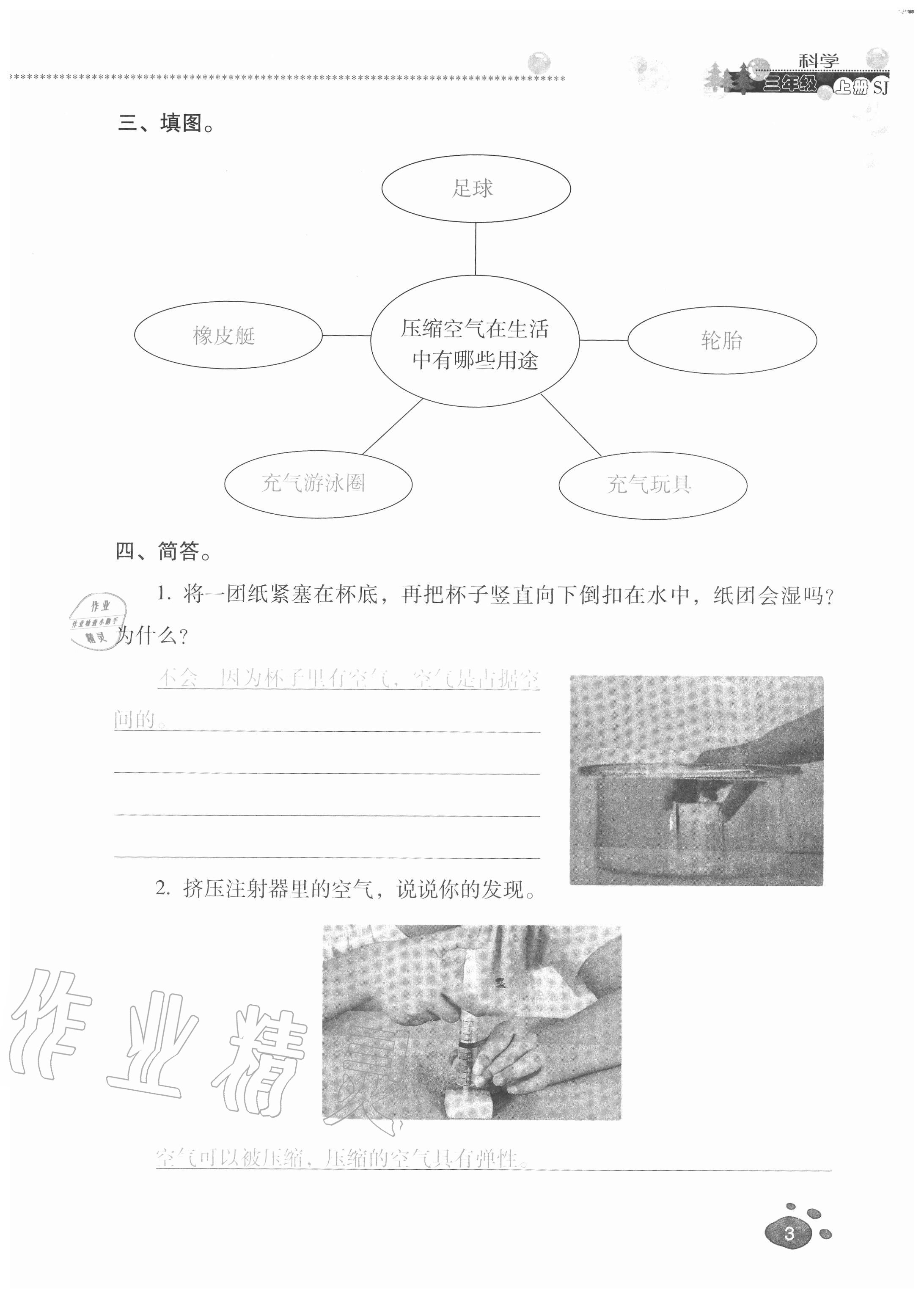 2020年云南省标准教辅同步指导训练与检测三年级科学上册苏教版 参考答案第2页