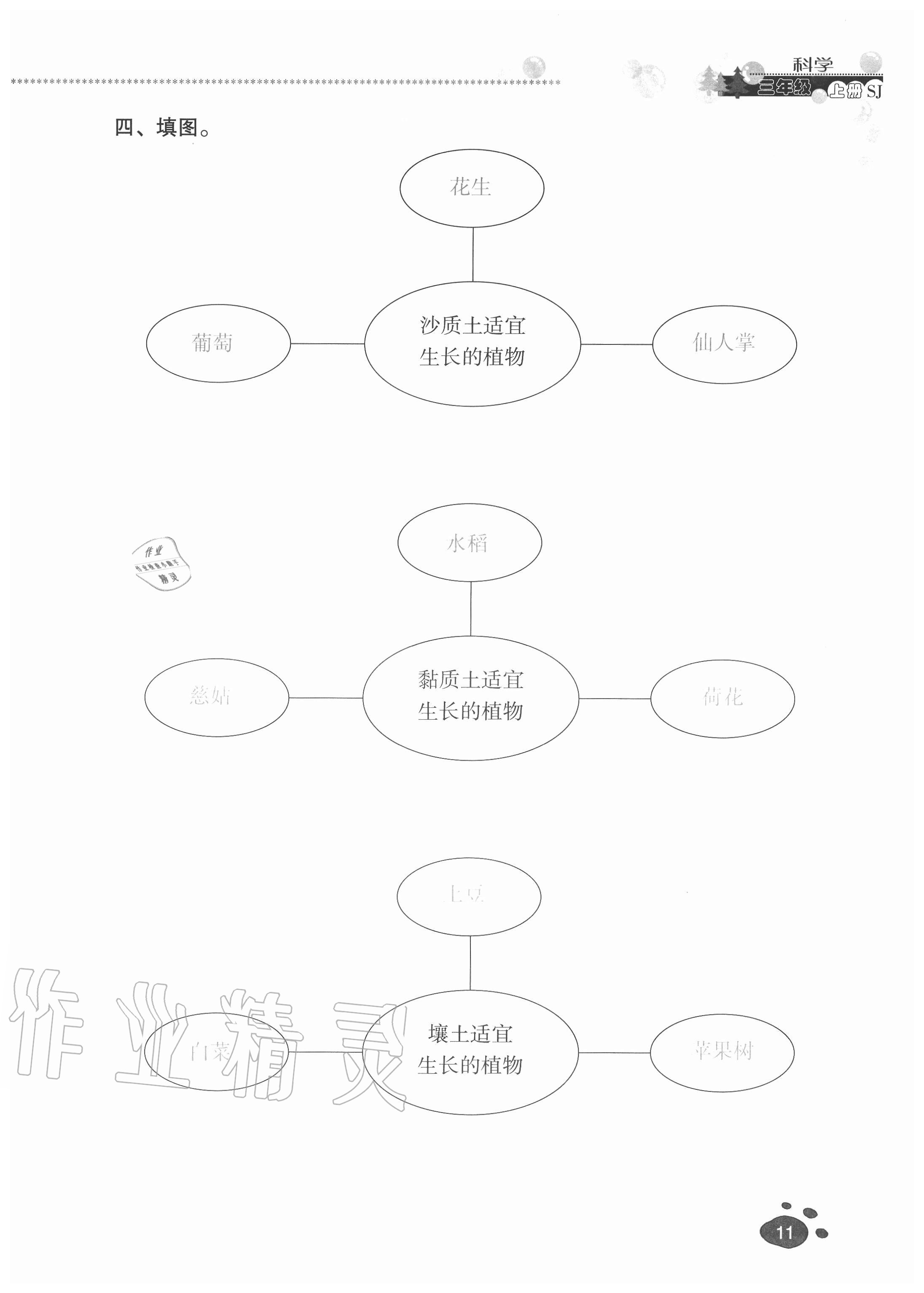 2020年云南省标准教辅同步指导训练与检测三年级科学上册苏教版 参考答案第10页