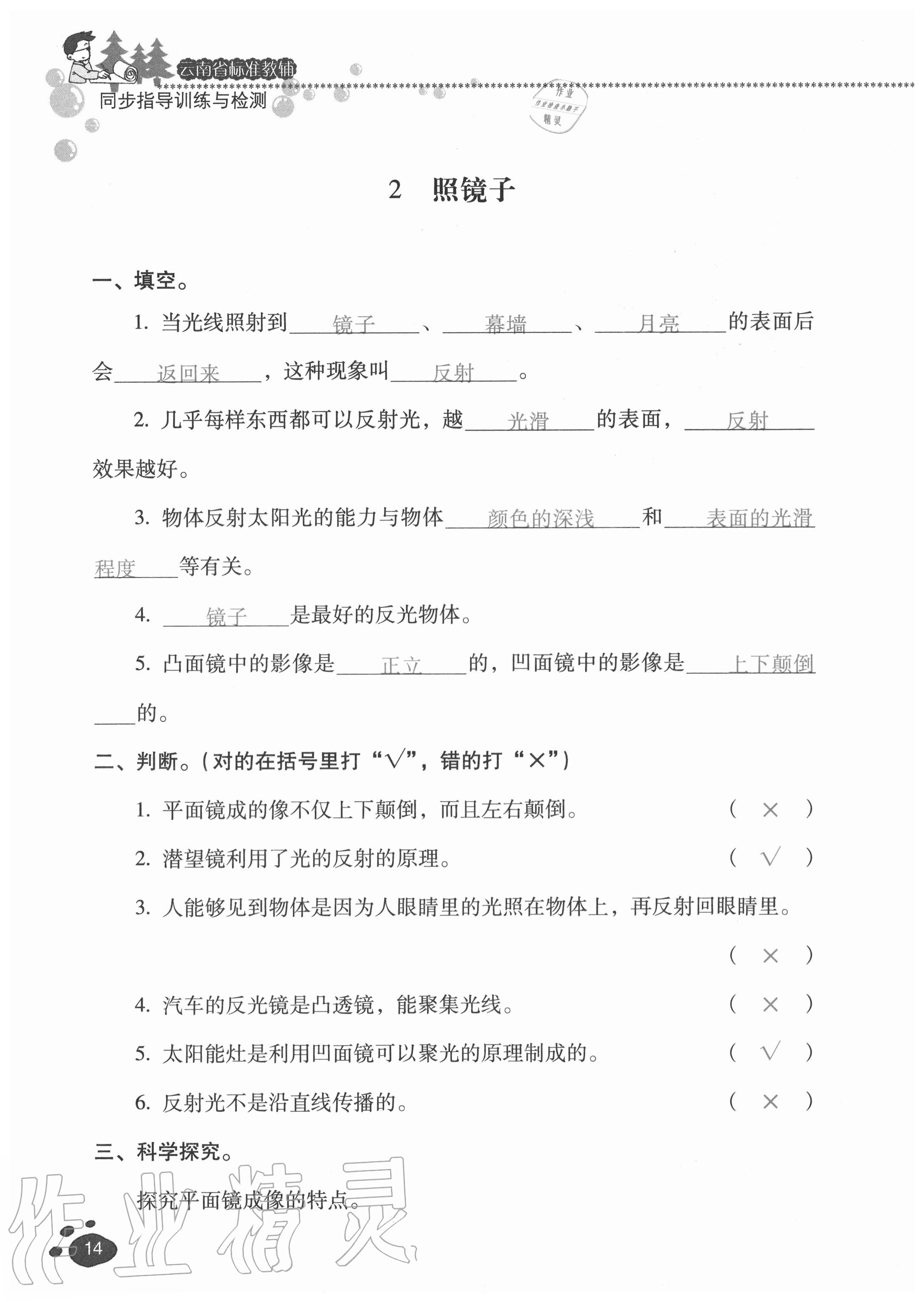 2020年云南省标准教辅同步指导训练与检测五年级科学上册苏教版 参考答案第13页