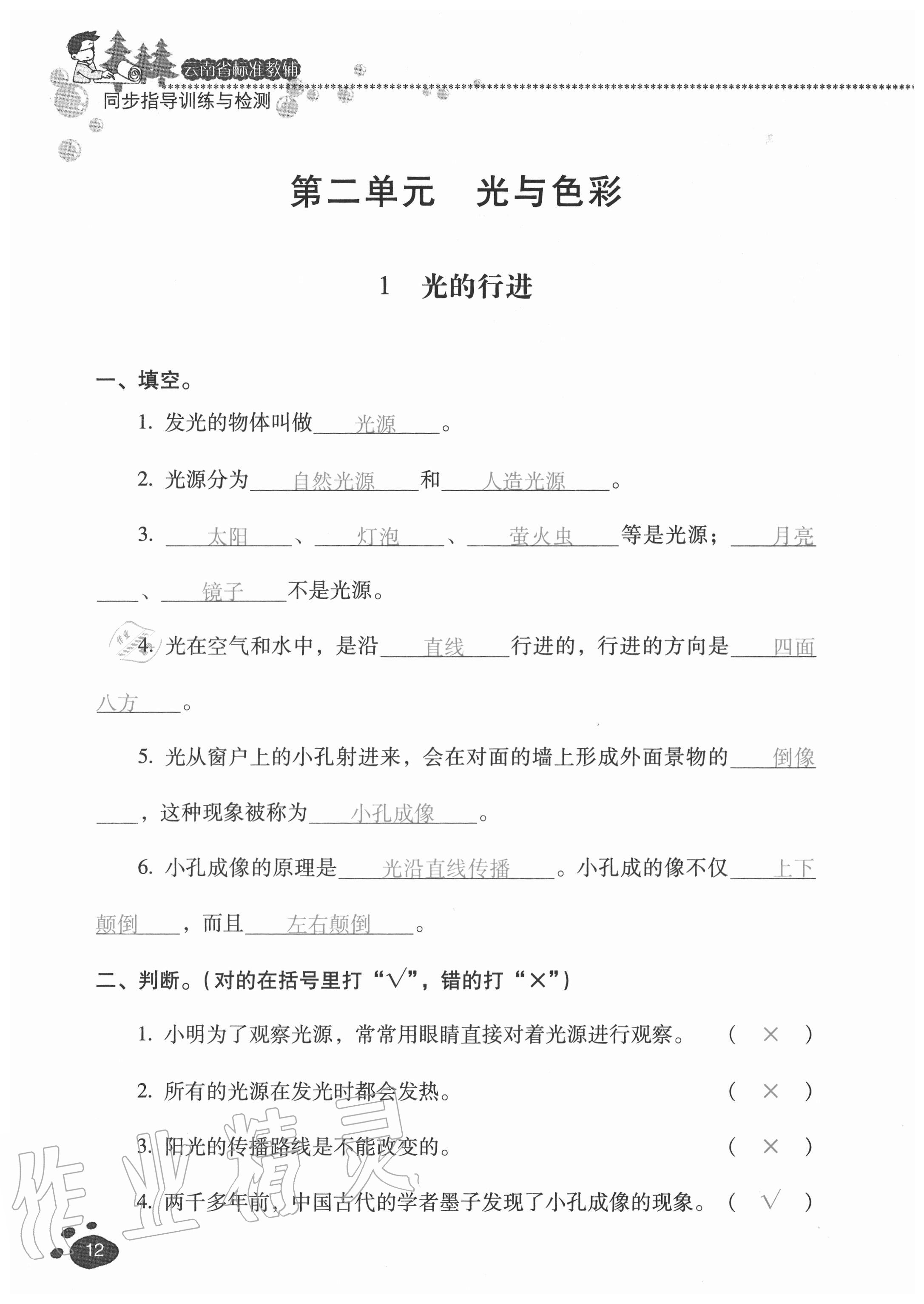 2020年云南省标准教辅同步指导训练与检测五年级科学上册苏教版 参考答案第11页