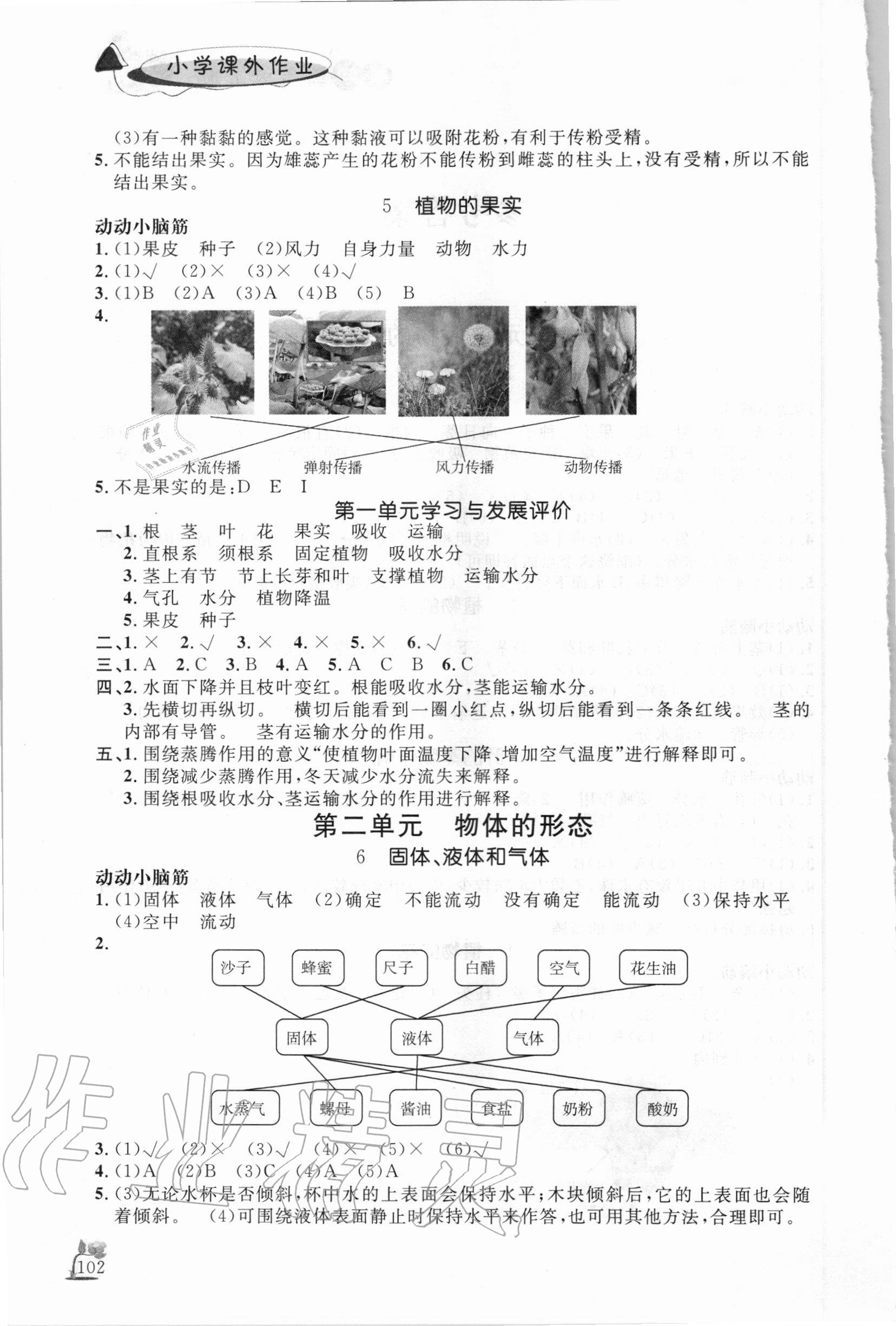 2020年小学课外作业三年级科学上册青岛版东营专版54制 第2页