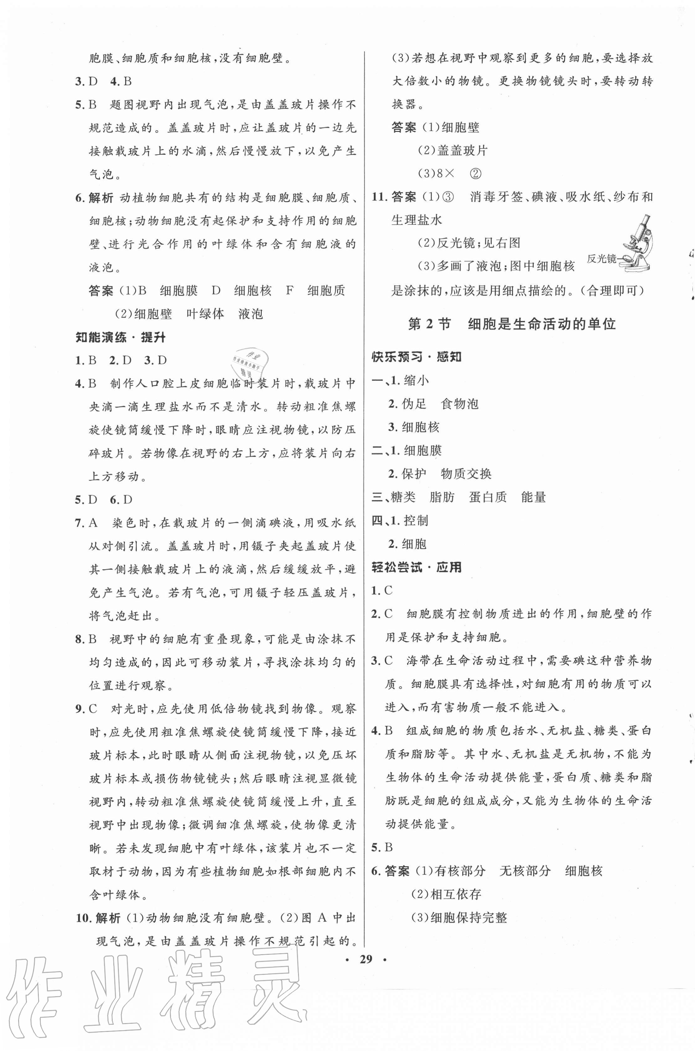 2020年初中同步测控优化设计七年级生物上册北师大版 第5页