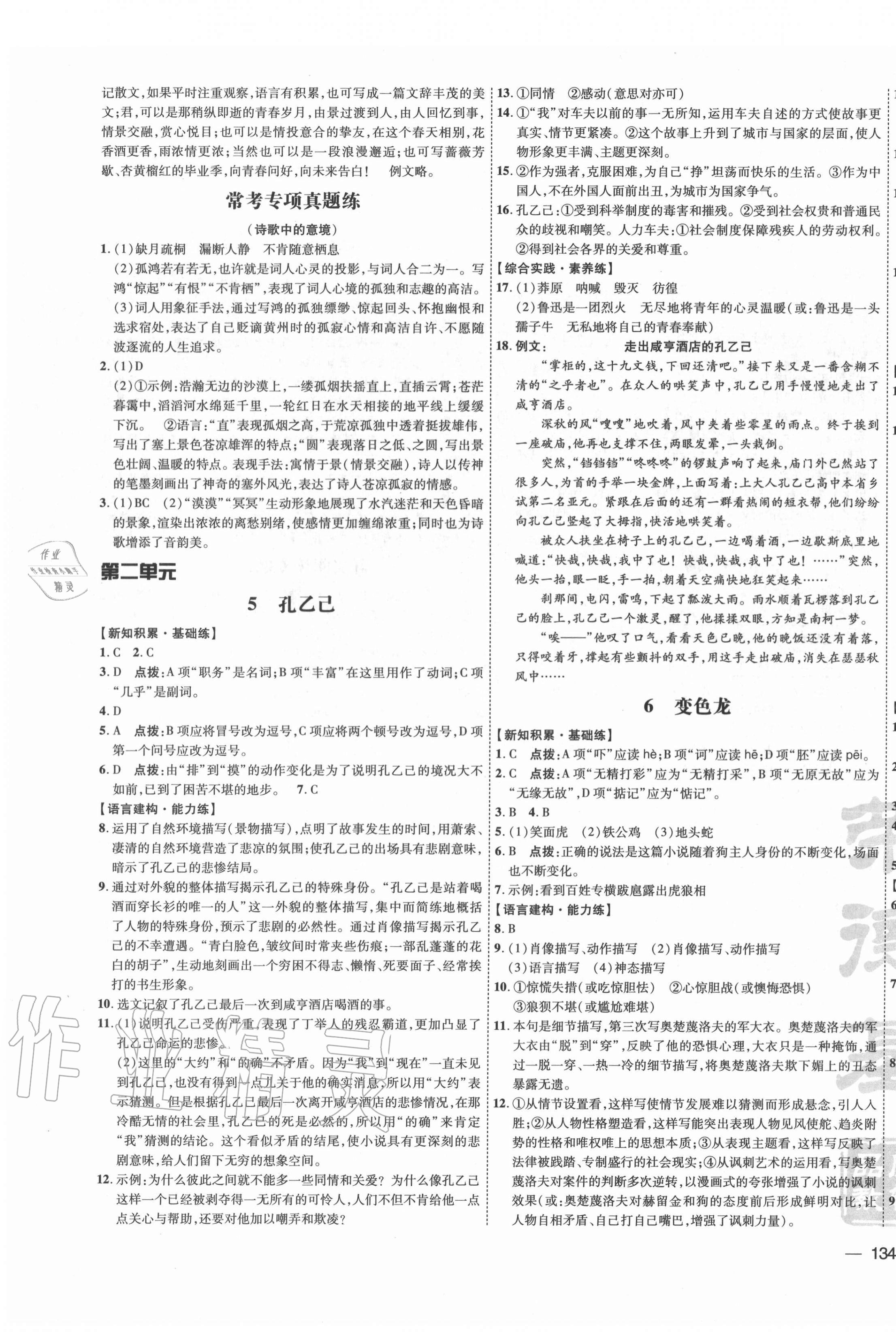 2021年点拨训练九年级语文下册人教版 参考答案第3页