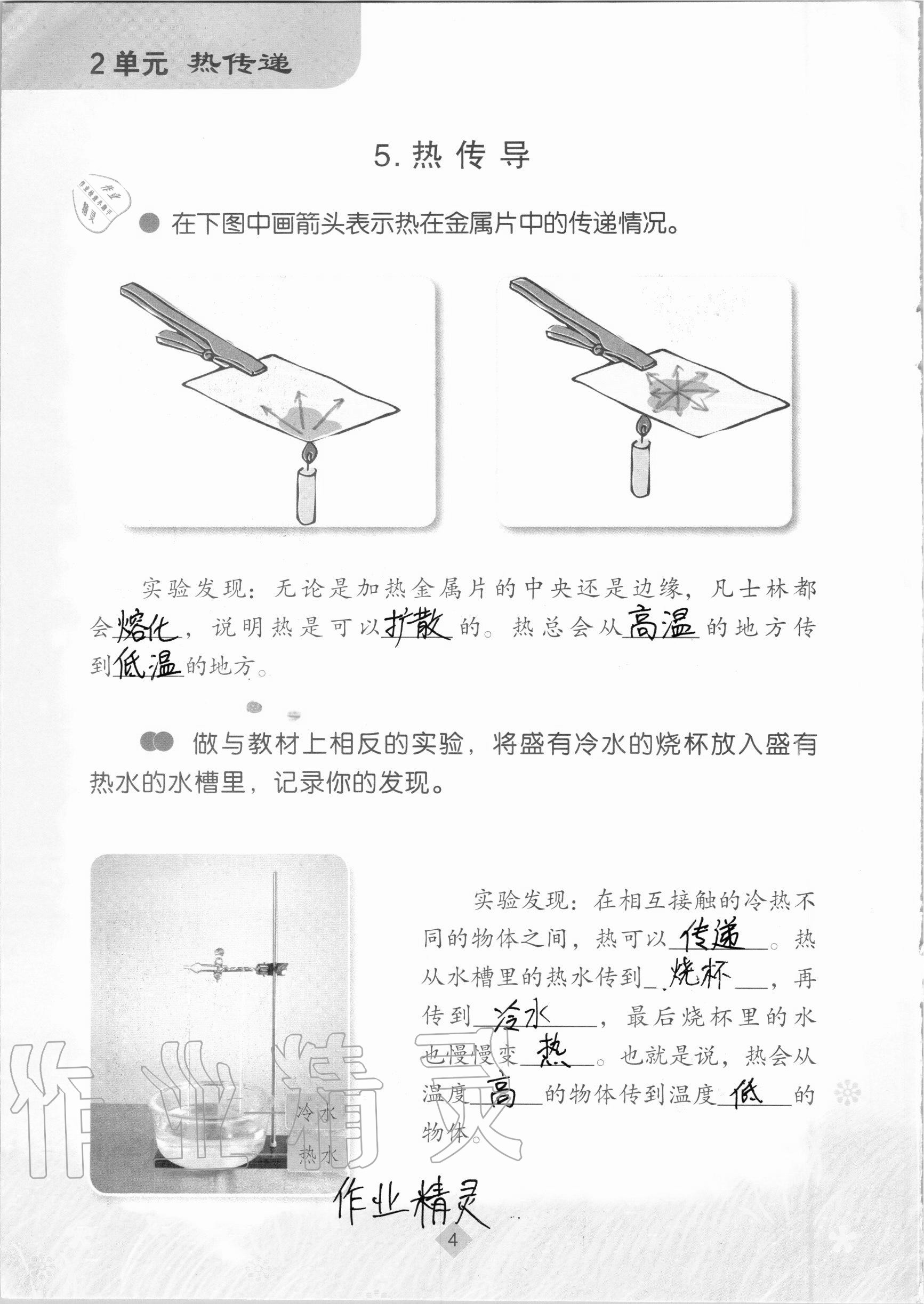 2020年学生活动手册五年级科学上册苏教版江苏凤凰教育出版社 参考答案第4页