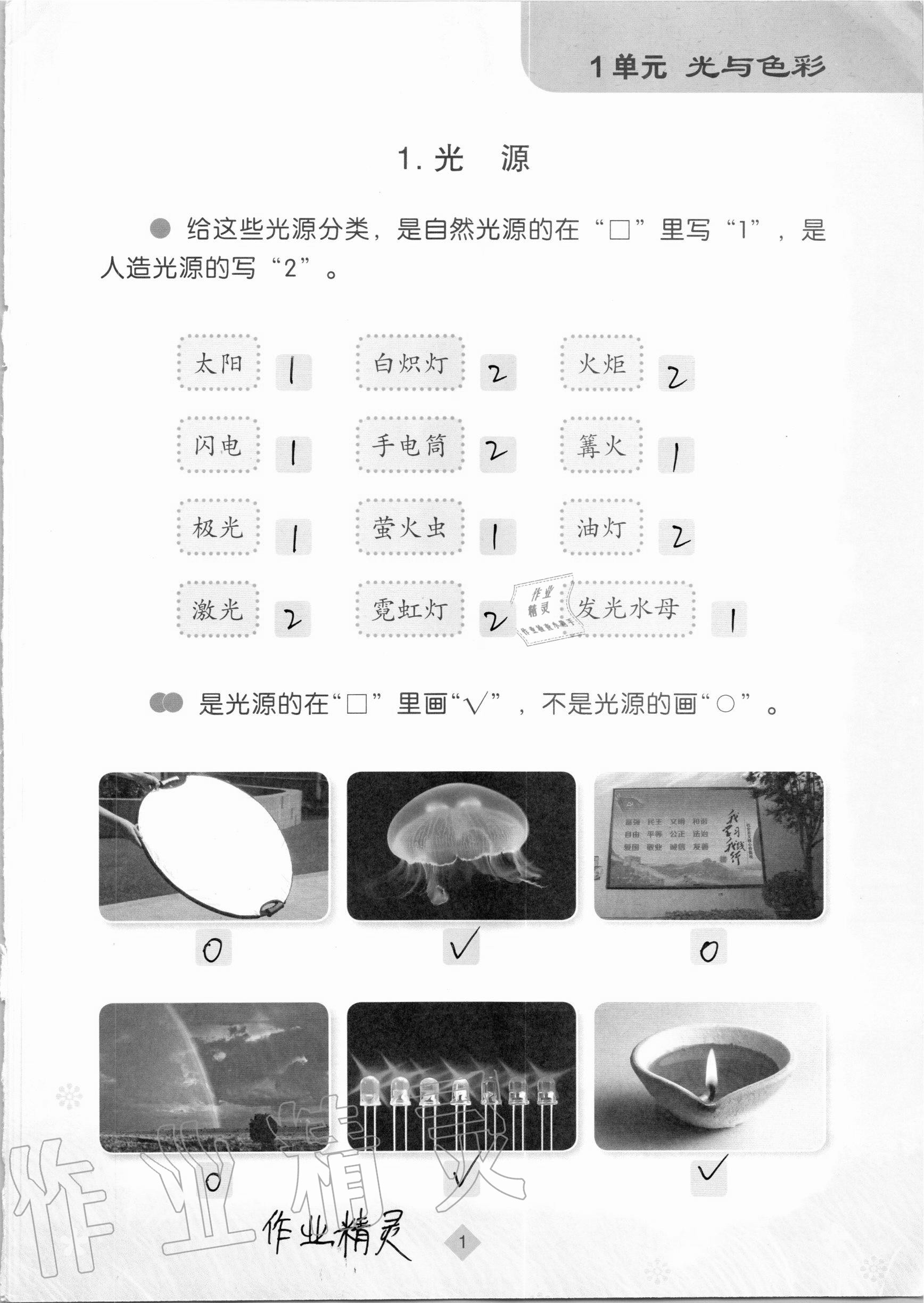 2020年学生活动手册五年级科学上册苏教版江苏凤凰教育出版社 参考答案第1页