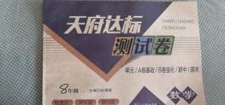 2020年天府達標測試卷八年級數學上冊人教版
