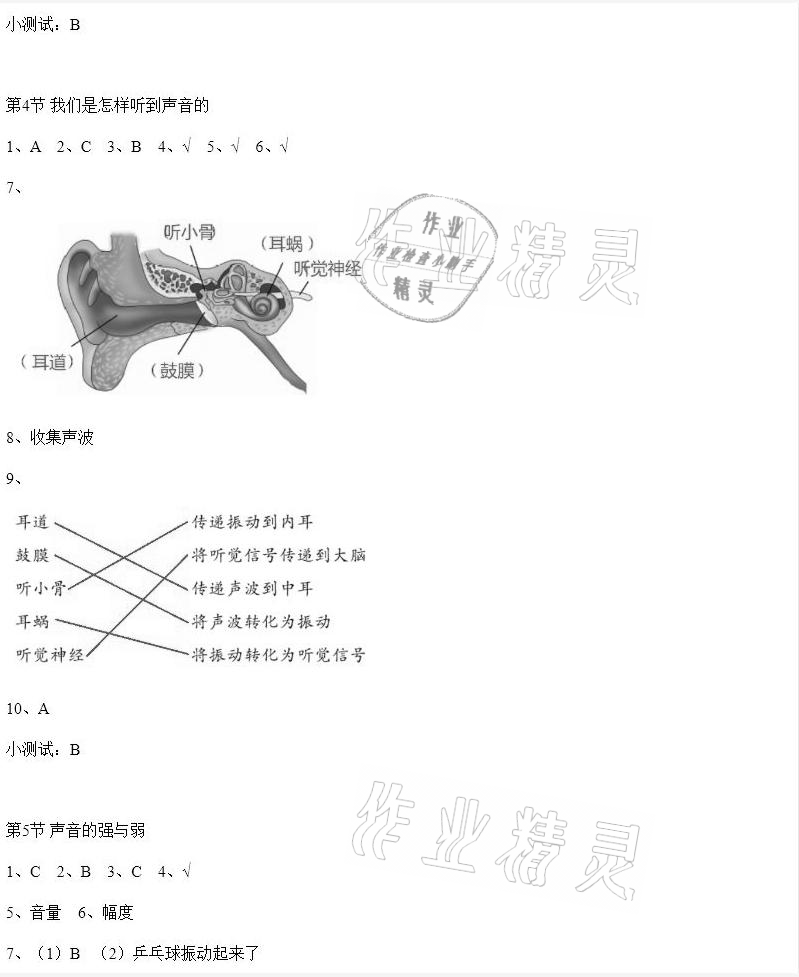 2020年科學素養(yǎng)提升四年級上冊教科版 參考答案第2頁