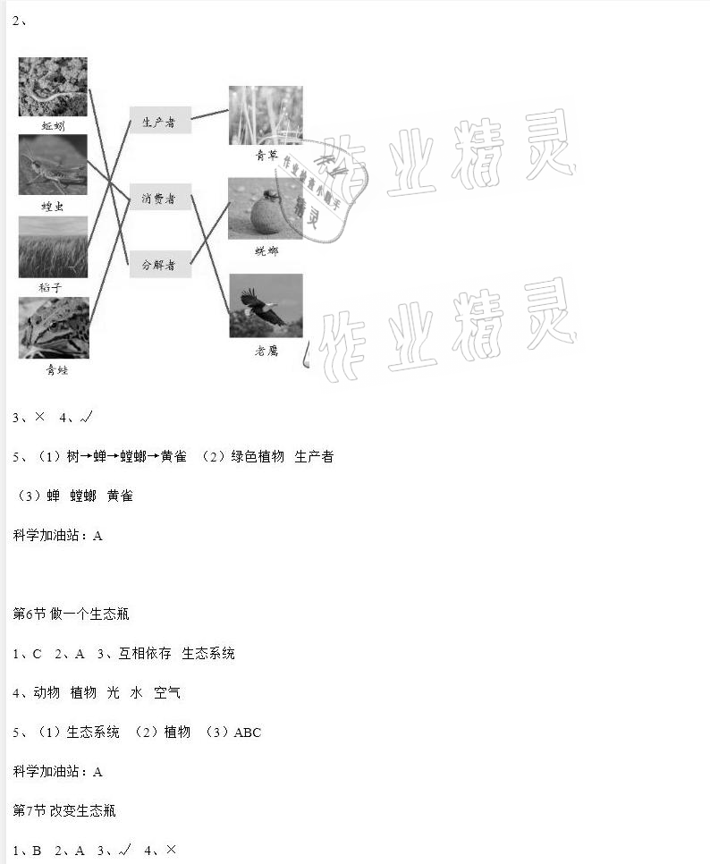 2020年科學素養提升五年級上冊教科版 參考答案第3頁