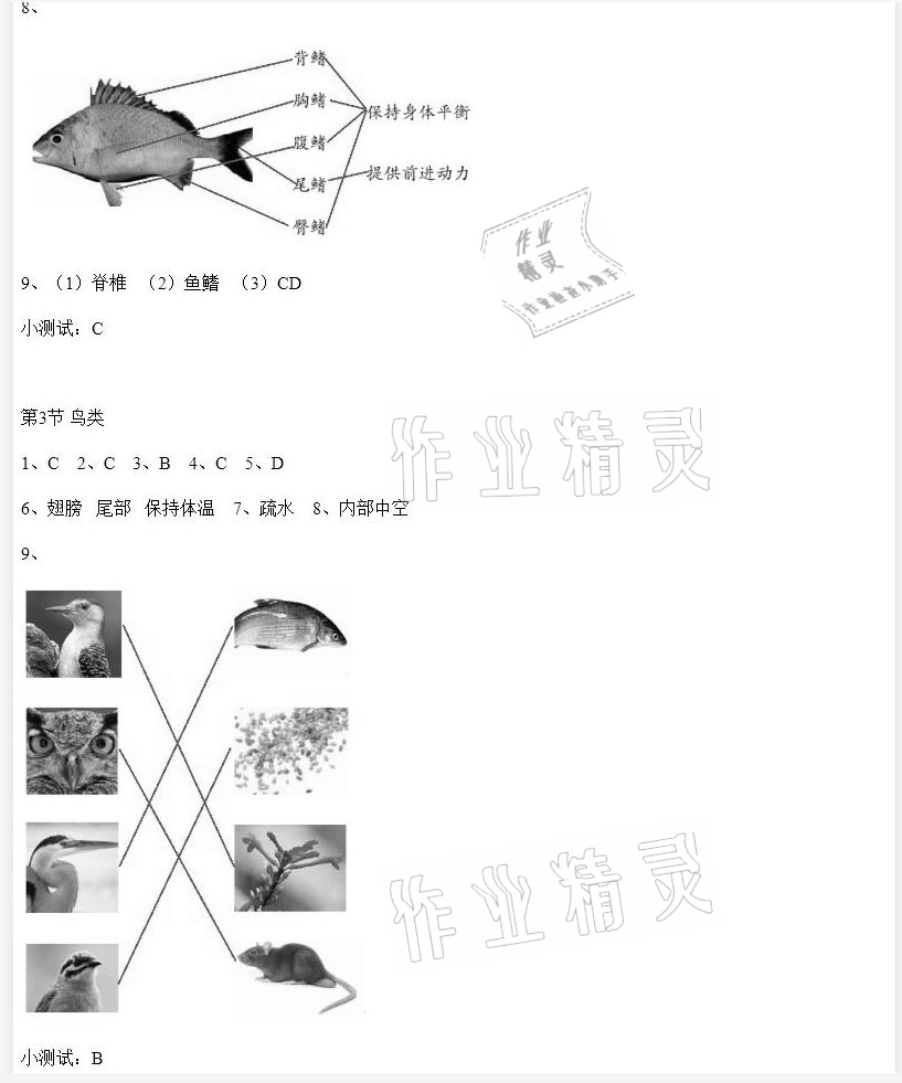 2020年科學(xué)素養(yǎng)提升四年級上冊蘇教版 參考答案第2頁