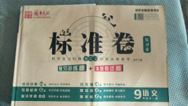 2020年標準卷九年級語文全一冊人教版涼山專版長江出版社