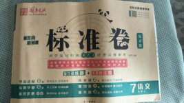 2020年標(biāo)準(zhǔn)卷七年級(jí)語文上冊(cè)人教版涼山專版長江出版社