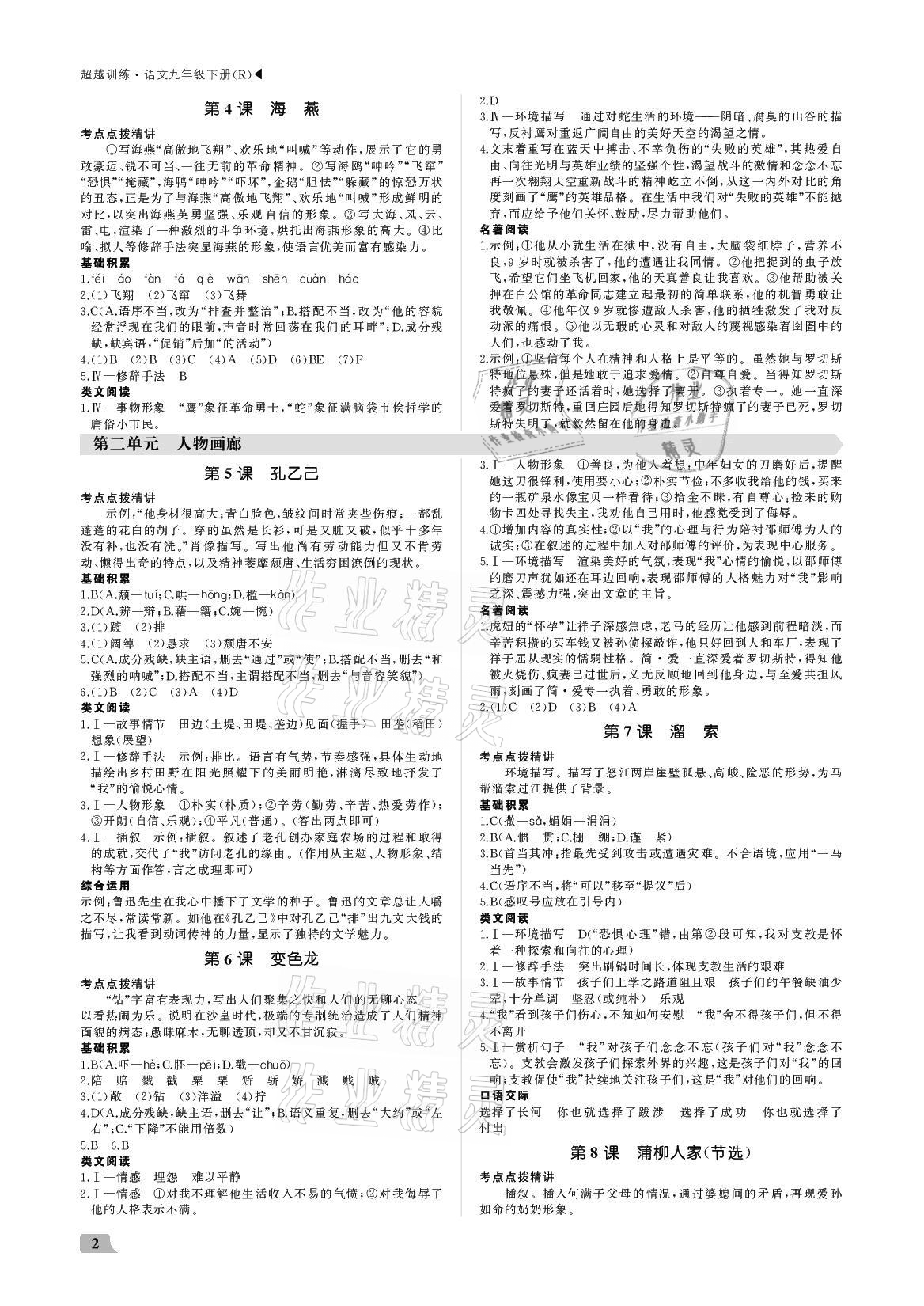 2021年超越訓(xùn)練九年級(jí)語文下冊人教版 參考答案第2頁