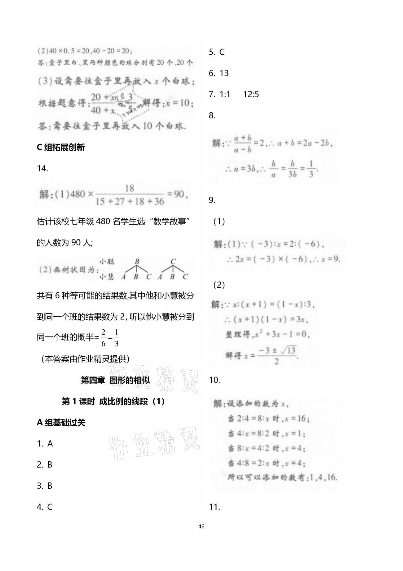 2020年學(xué)典九年級數(shù)學(xué)全一冊北師大版北京時代華文書局 參考答案第46頁