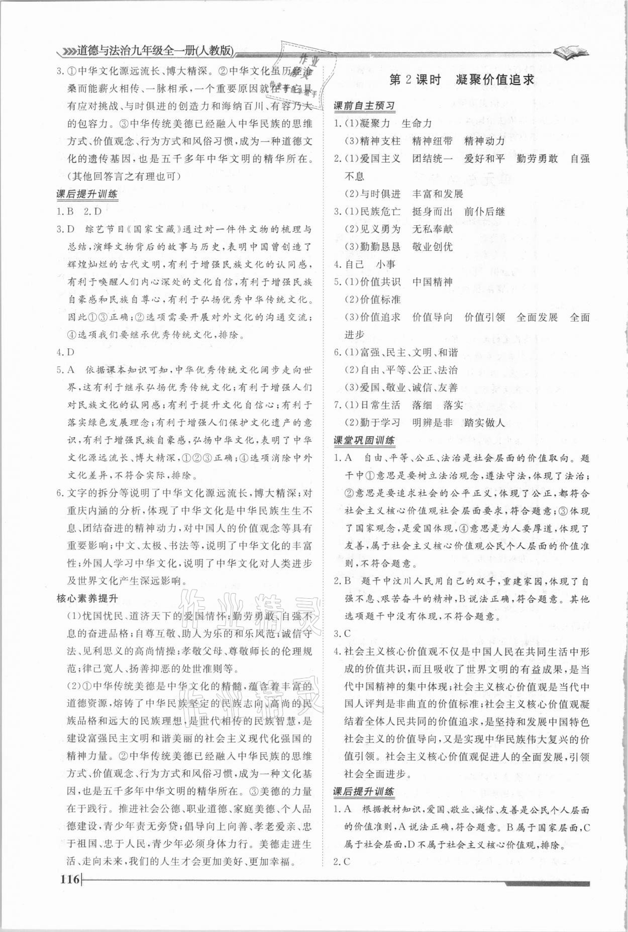 2020年標準課堂作業(yè)九年級道德與法治全一冊人教版 第10頁