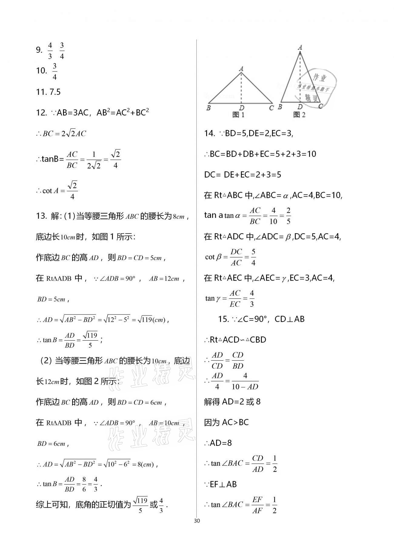 2020年優學先導教學與測評九年級數學上冊滬教版54制 第30頁