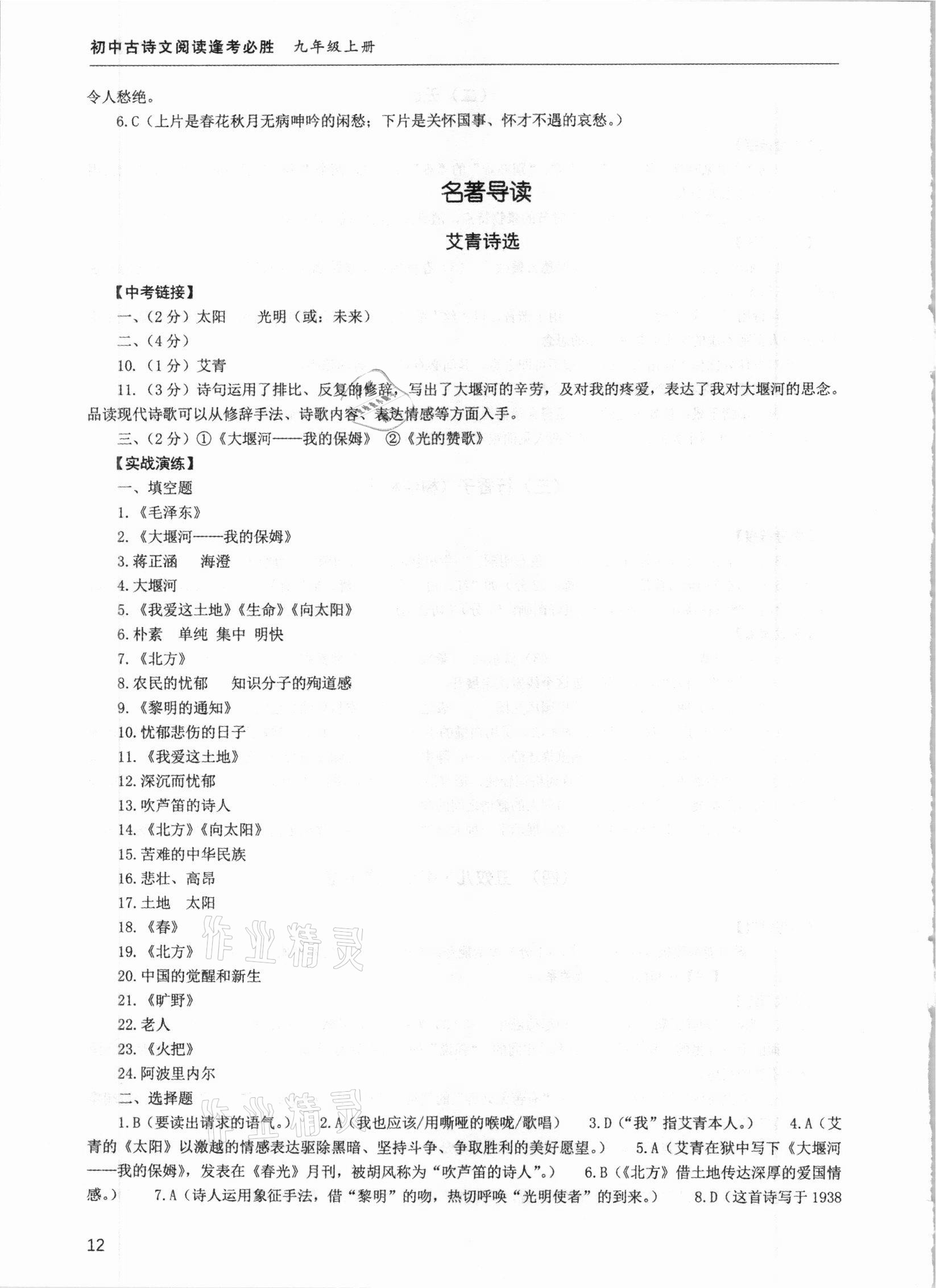 2020年初中古詩文閱讀逢考必勝九年級全一冊 參考答案第12頁