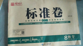 2020年標準卷八年級數學上冊華師大版衡陽專版長江出版社