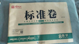 2020年標準卷八年級數學上冊湘教版長江出版社