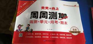 2020年天天向上周周測100一年級語文上冊人教版