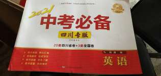 2021年中考必備英語四川專版遼寧師范大學(xué)出版社