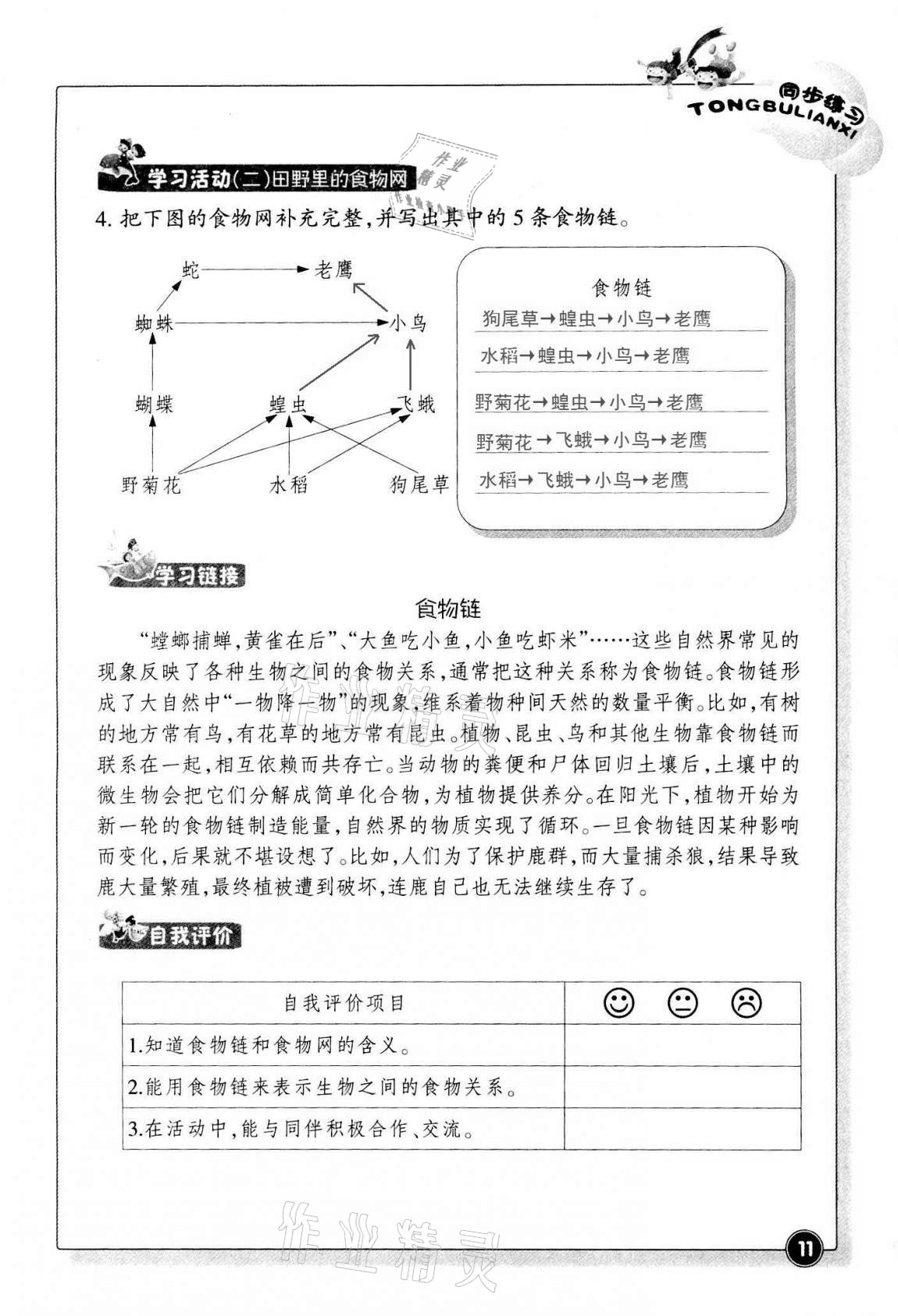 2020同步練習(xí)五年級(jí)科學(xué)上冊(cè)教科版浙江教育出版社 第10頁(yè)