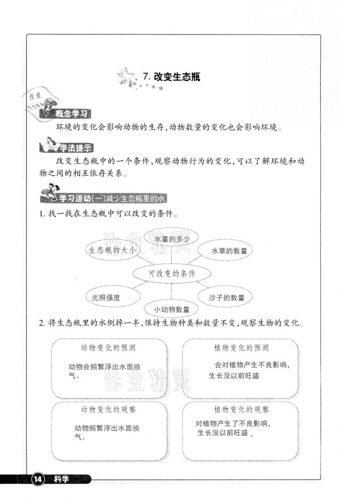 2020同步練習(xí)五年級科學(xué)上冊教科版浙江教育出版社 第13頁