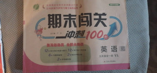 2020年期末闖關沖刺100分九年級英語全一冊譯林版