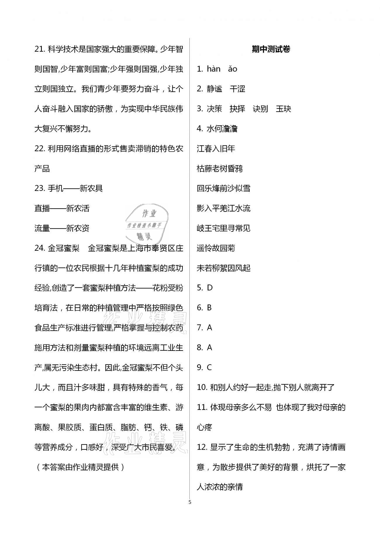2020年全優標準卷創新學習測試卷七年級上冊荊州專版 第5頁